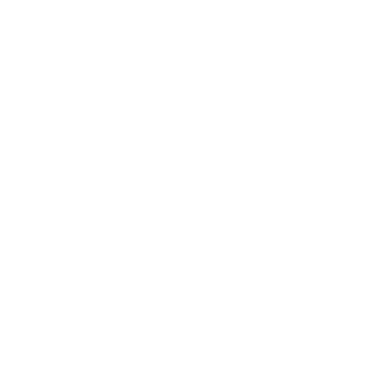 Hoyo Logo.png