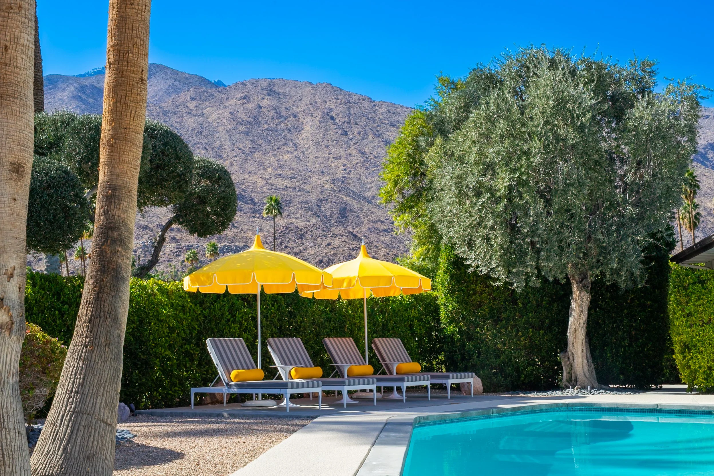 A classic Palm Springs Mid-century modern swimming pool with poolside chairs and yellow umbrellas, surrounded by palm trees and greenery, with mountains and a clear blue sky in the background.