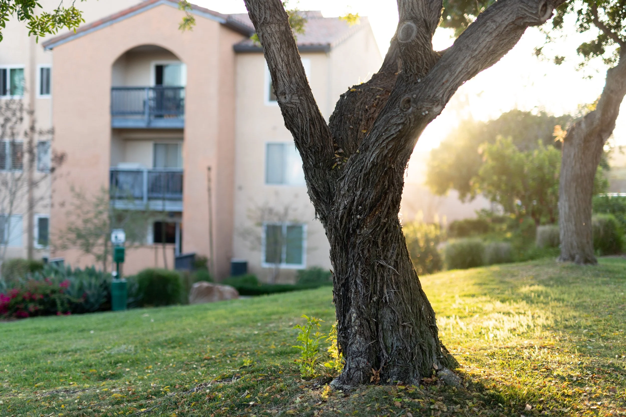 7160 SHORELINE Nancy Exteriors-30.jpg