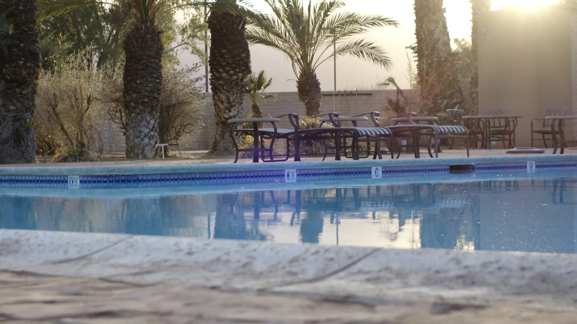 Empty swimming pool with lounge chairs and palm trees in the background during sunset.