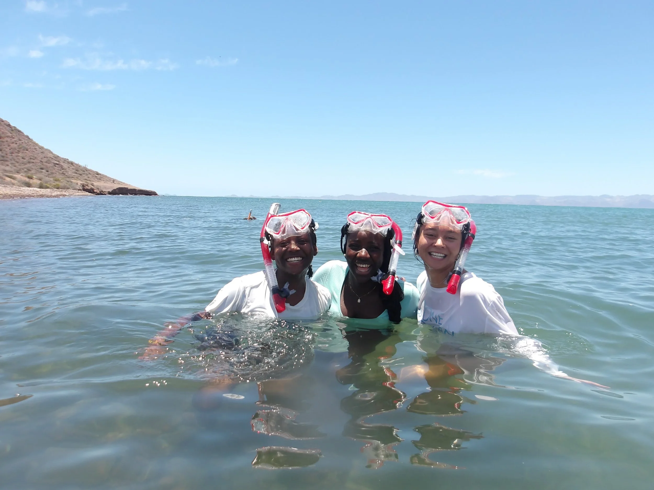 26 SDC Snorkle.jpeg