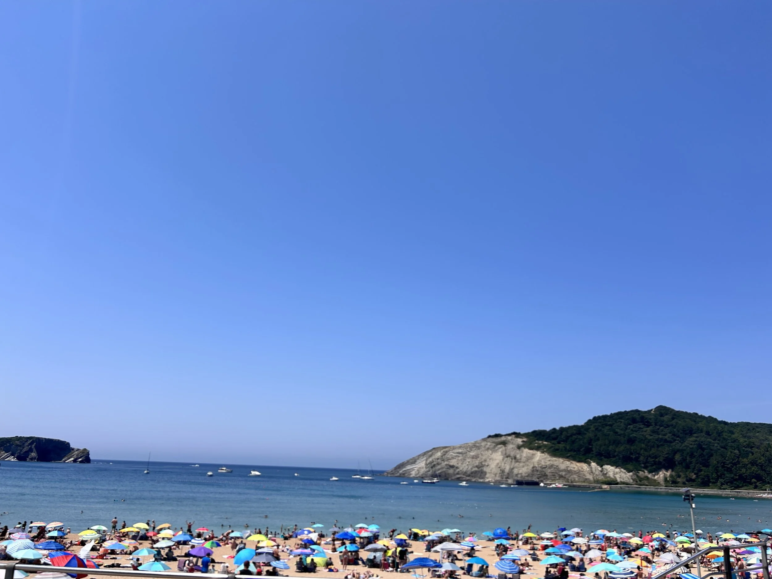 IMG_6971.jpeg