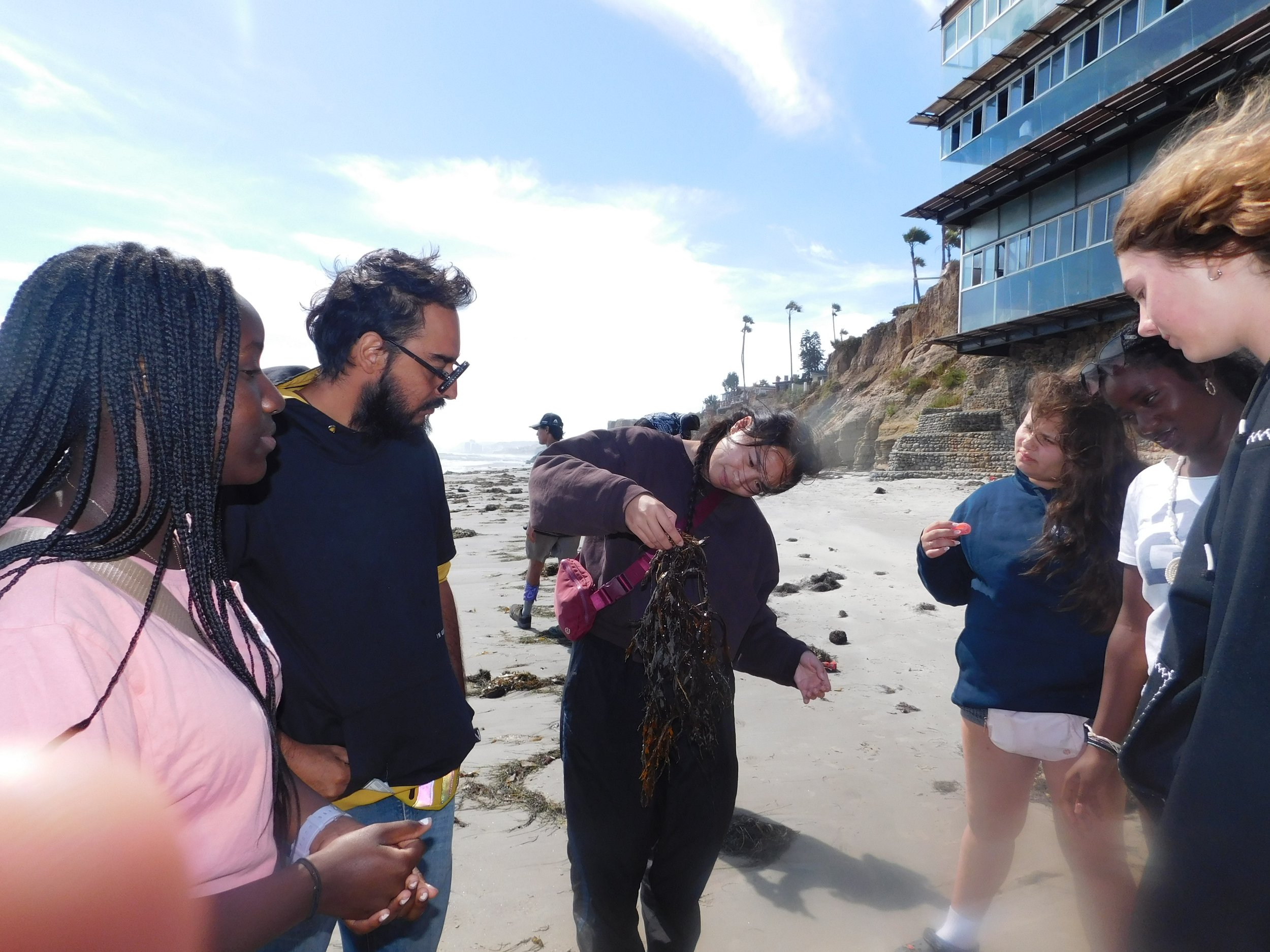 26 SDC Beach.jpeg