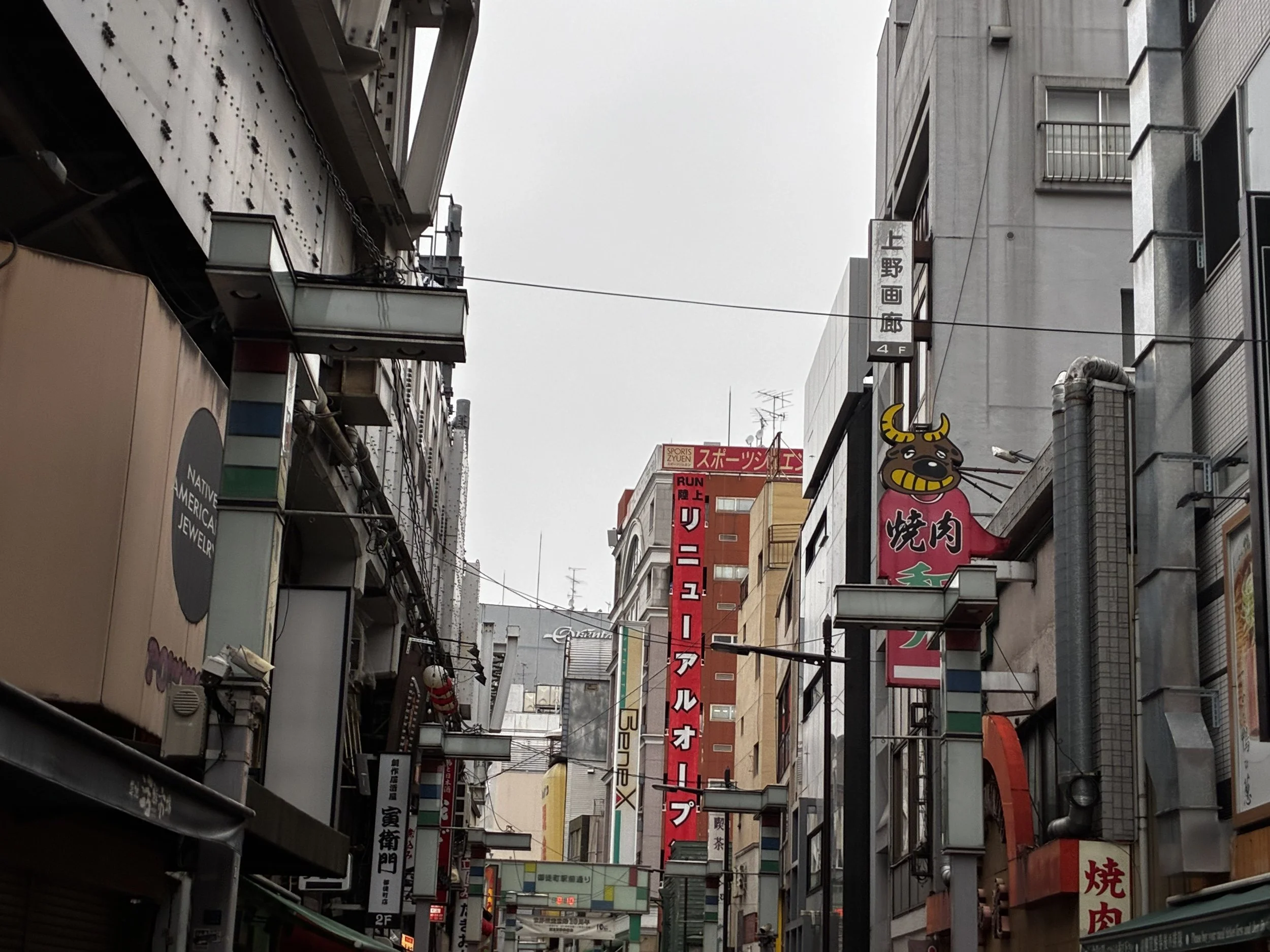 IMG_0098.jpeg