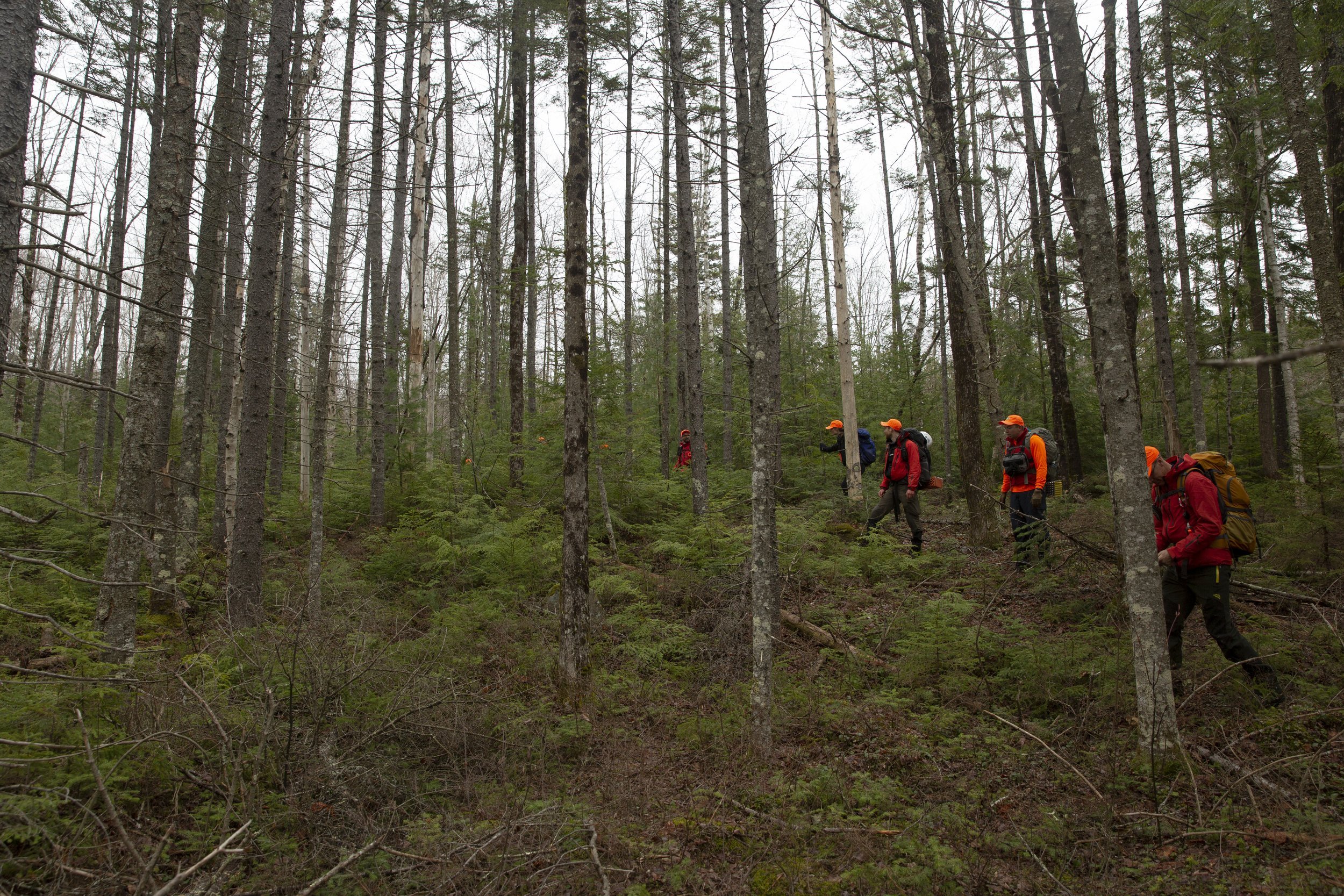 uvwrt search and rescue basics