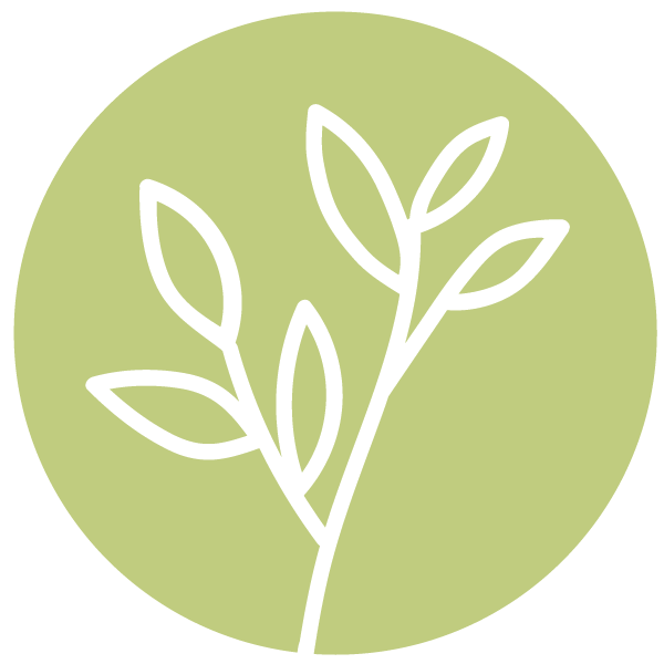 JGD_Icon_Green-White Circle.png