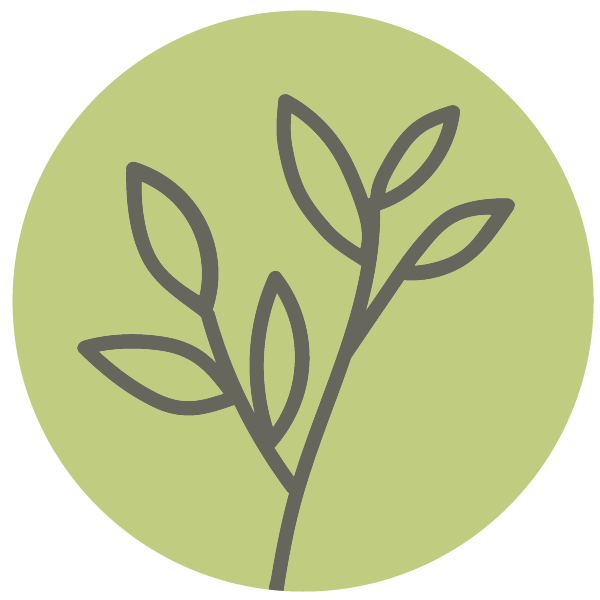 JGD_Icon_Green-Grey Circle.png