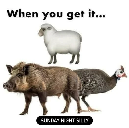 Thanks Ms. Traci! 😸#singyoursong