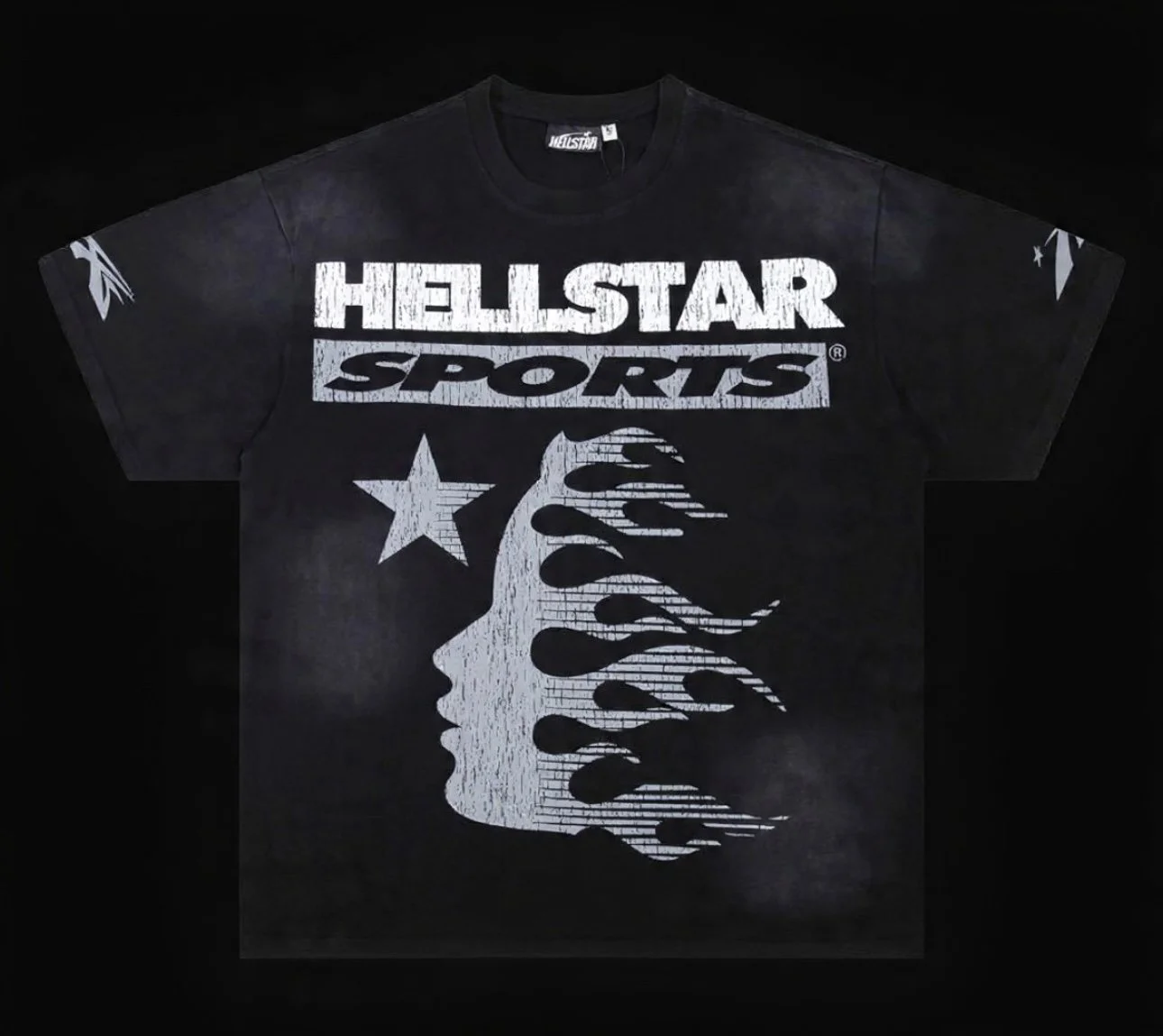 H*llstar  Family T-Shirt 'Grey'