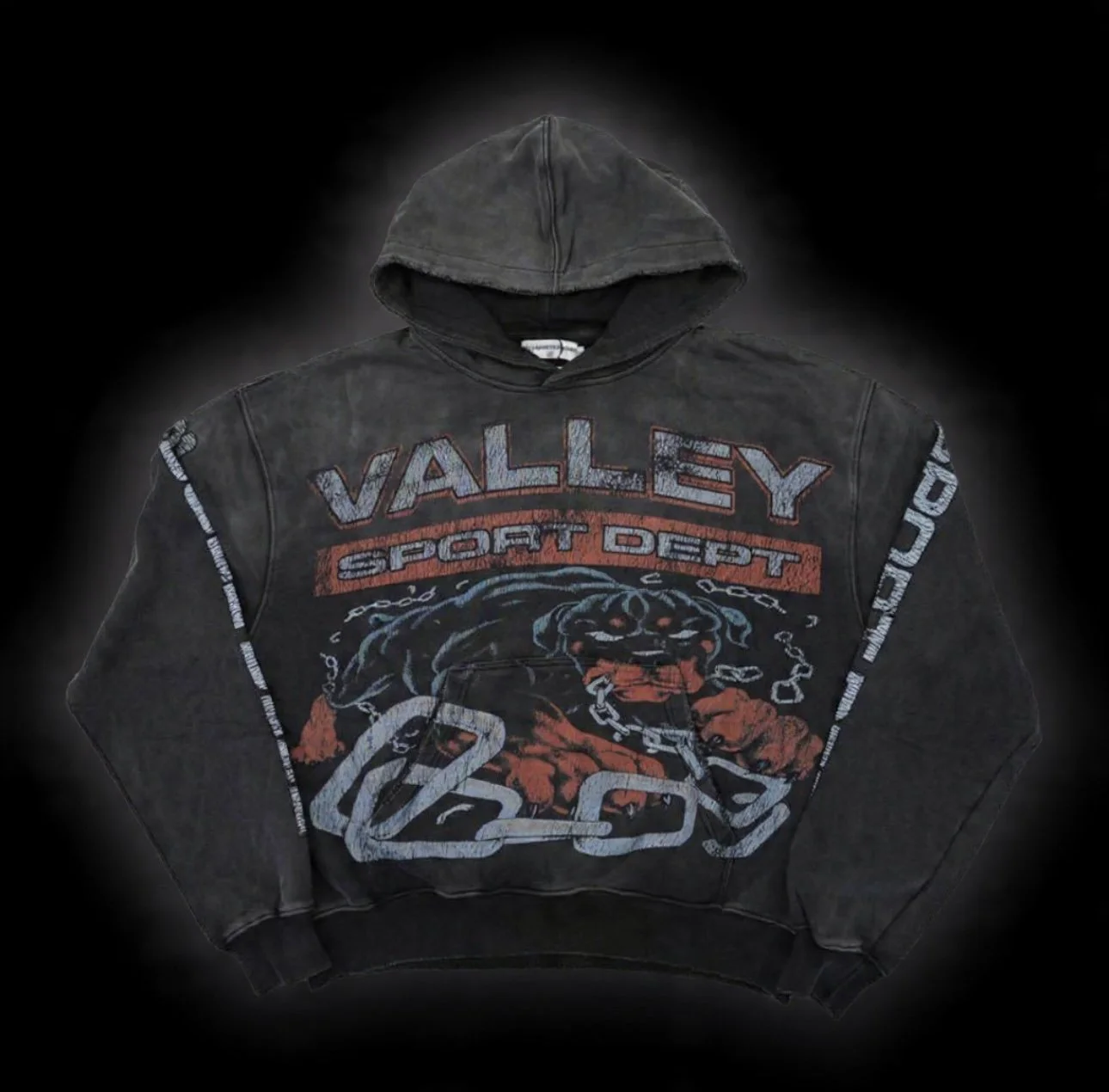 V*le Forever Valley Sports Dept Panther Hoodie