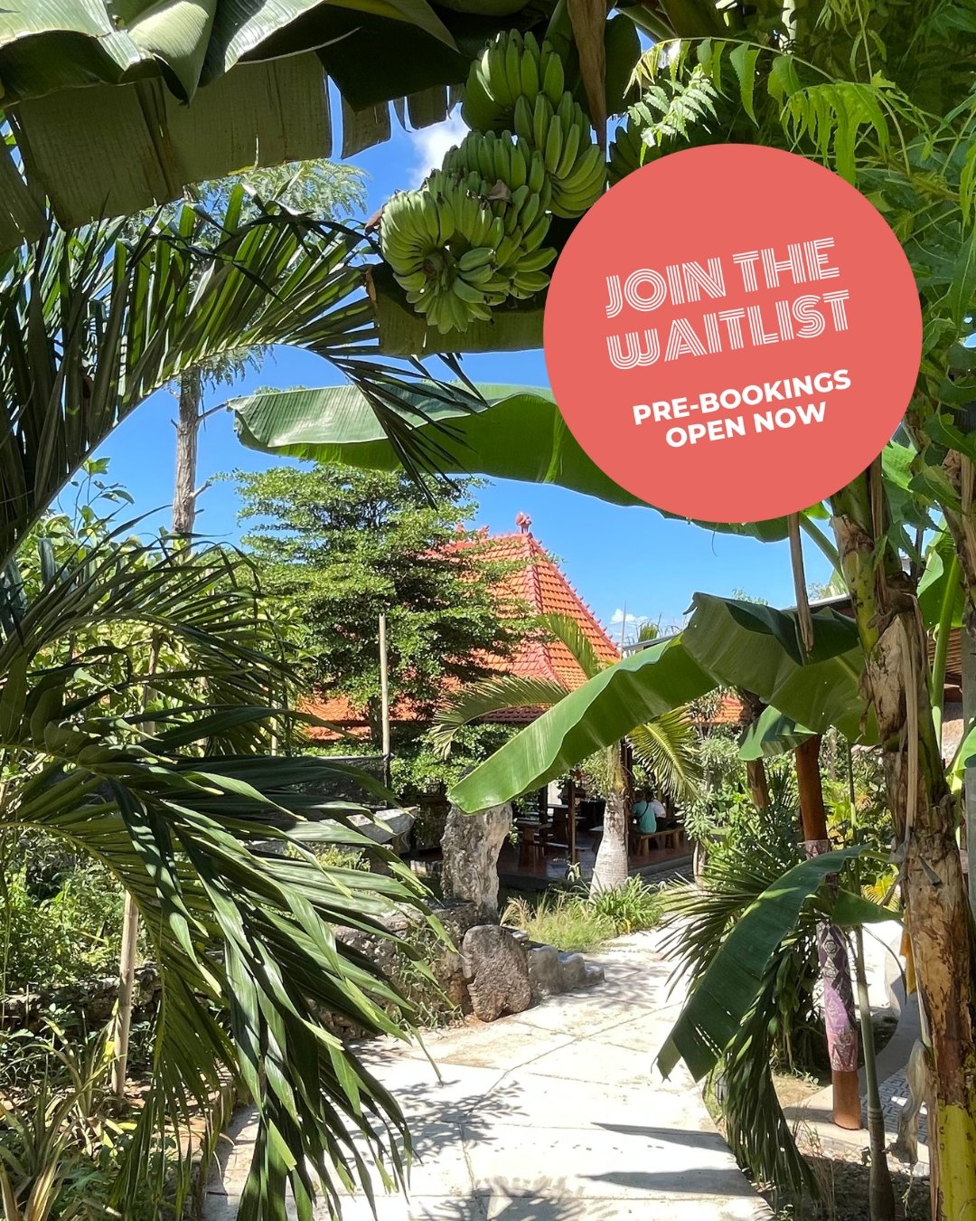 Creative Mojo Retreat Bali March 2026