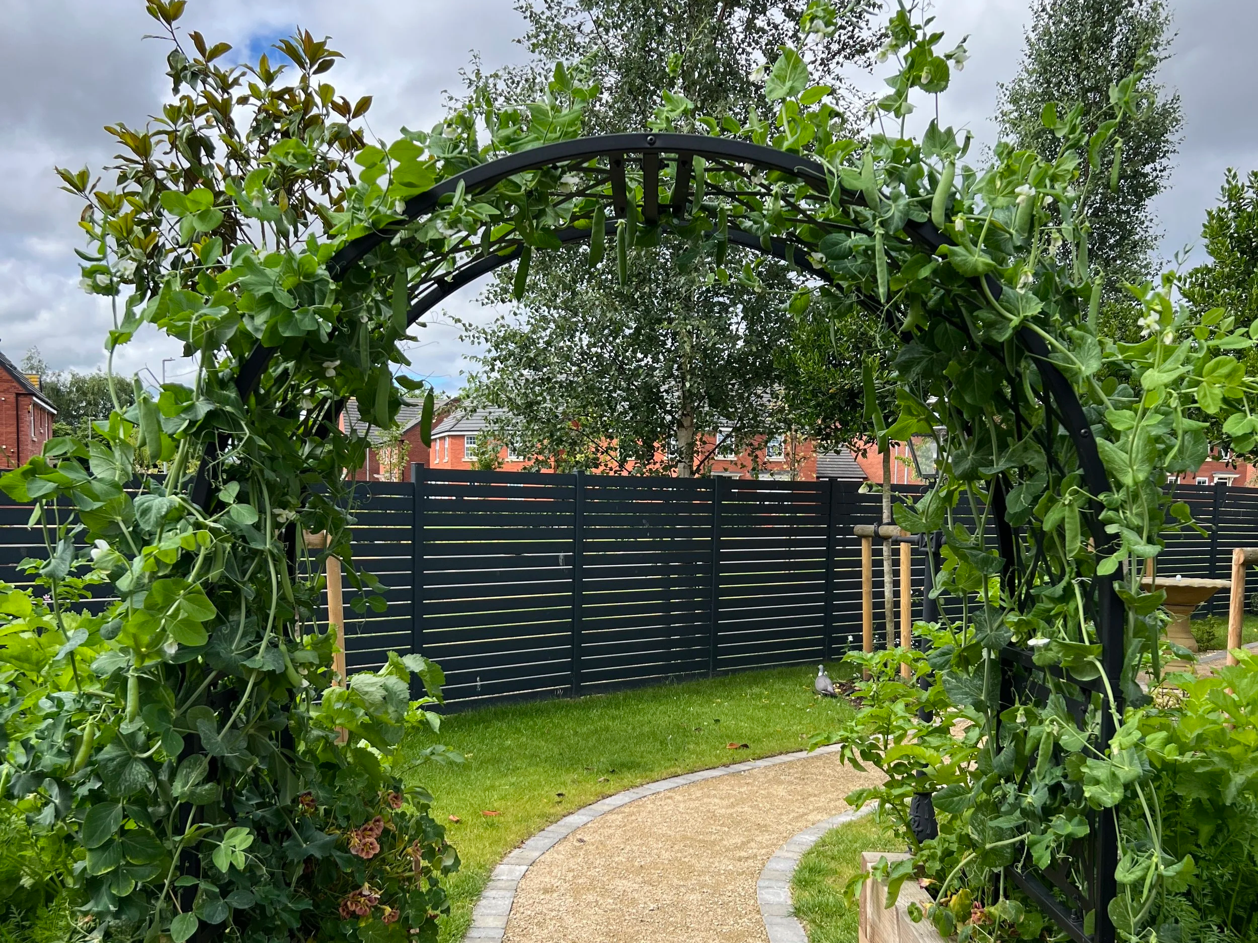 How to Design a Garden with Year-Round Interest (My Studio Secrets)