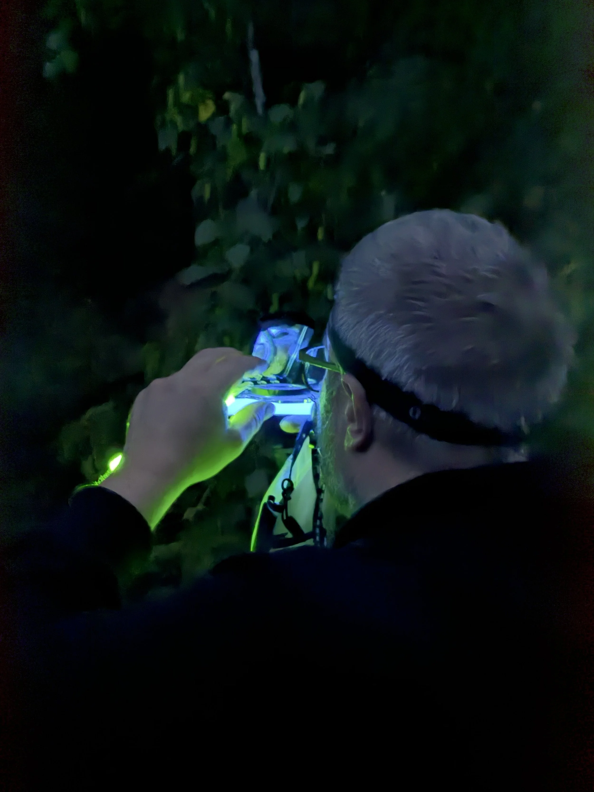 Einstellen der Marschrichtung bei Nacht.jpg