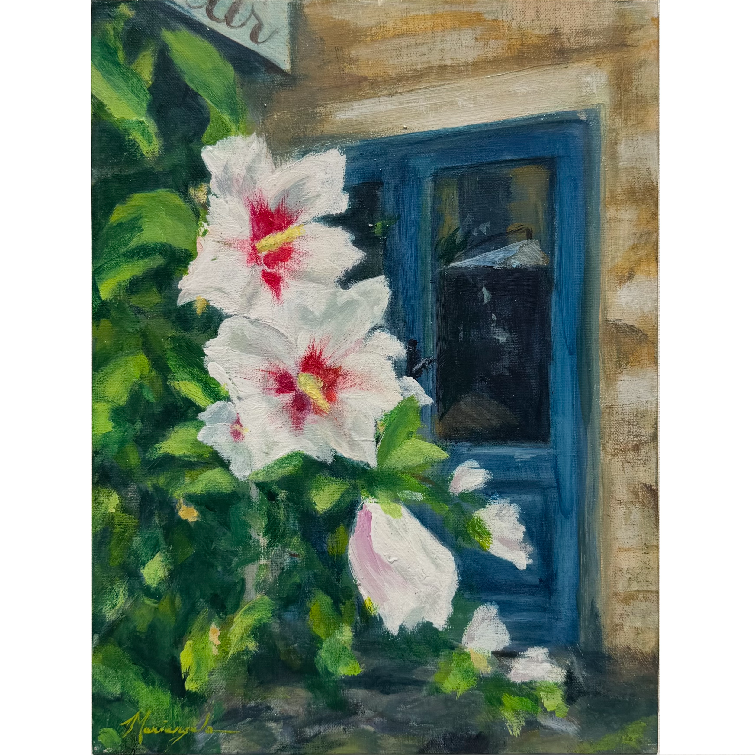 Rose of Sharon Hibiscus • Saint-Émilion, France