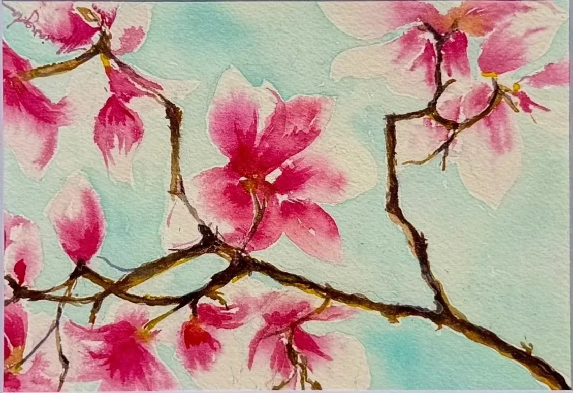 Blooming Magnolia