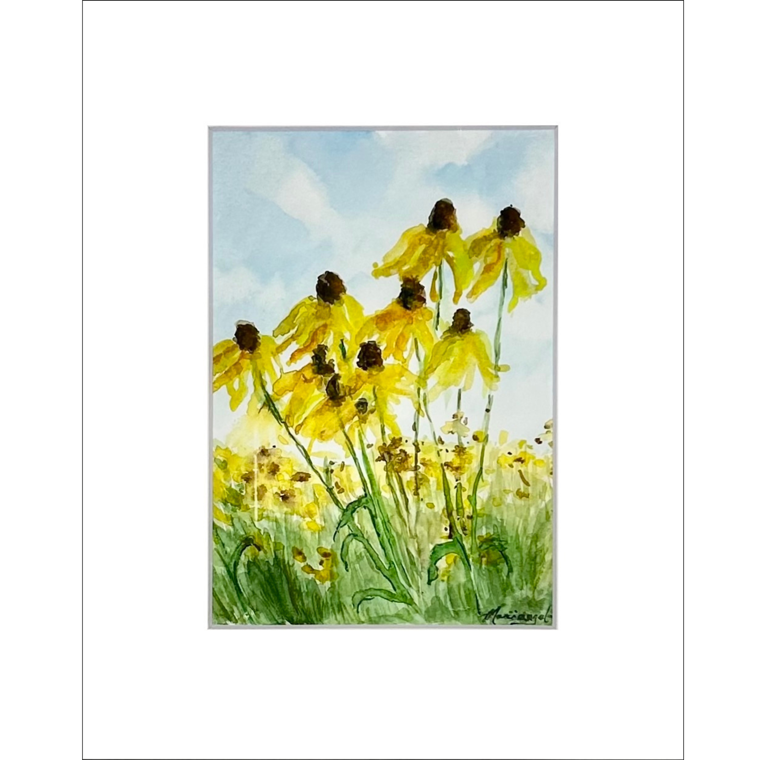 Coneflowers in the Breeze