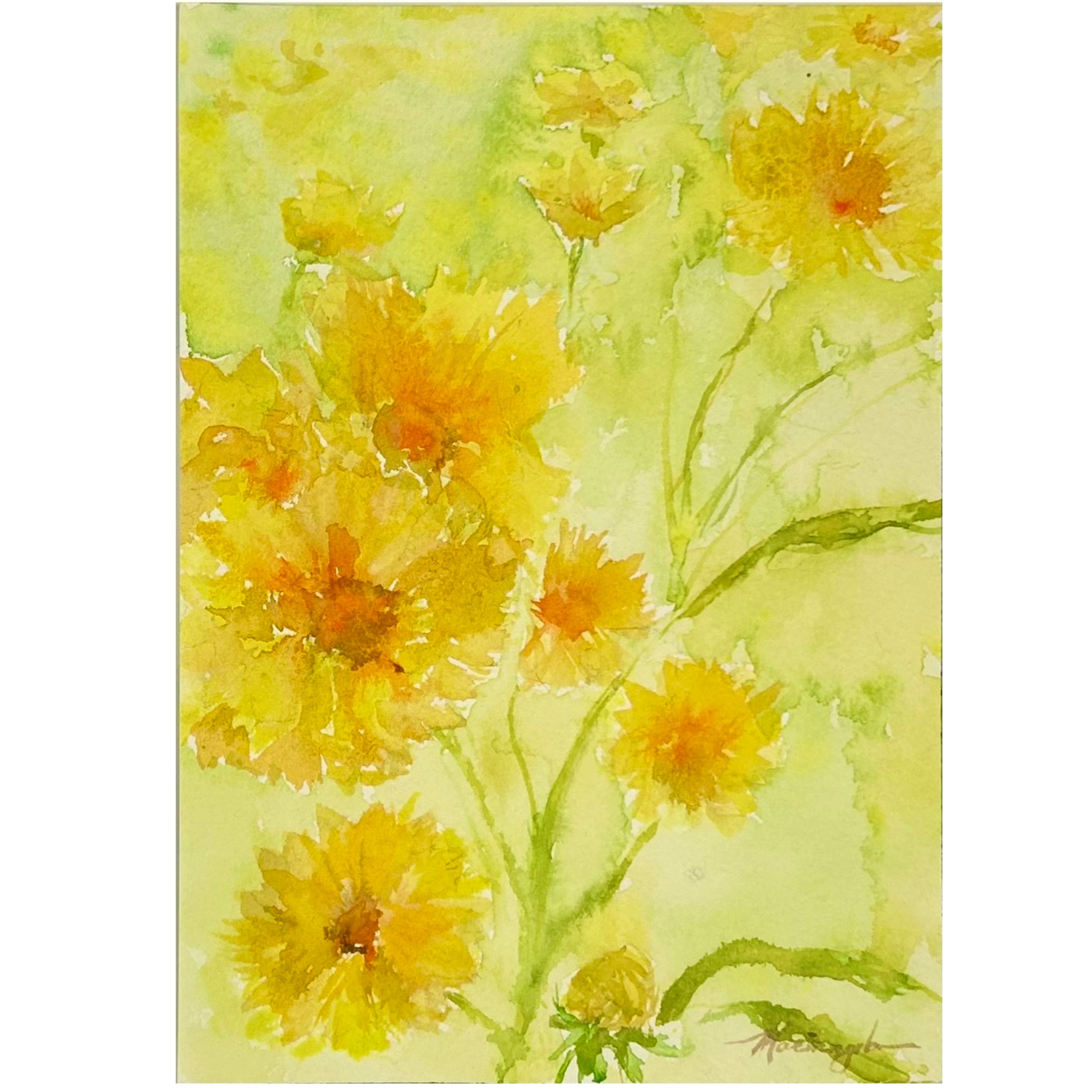 Fields of Gold