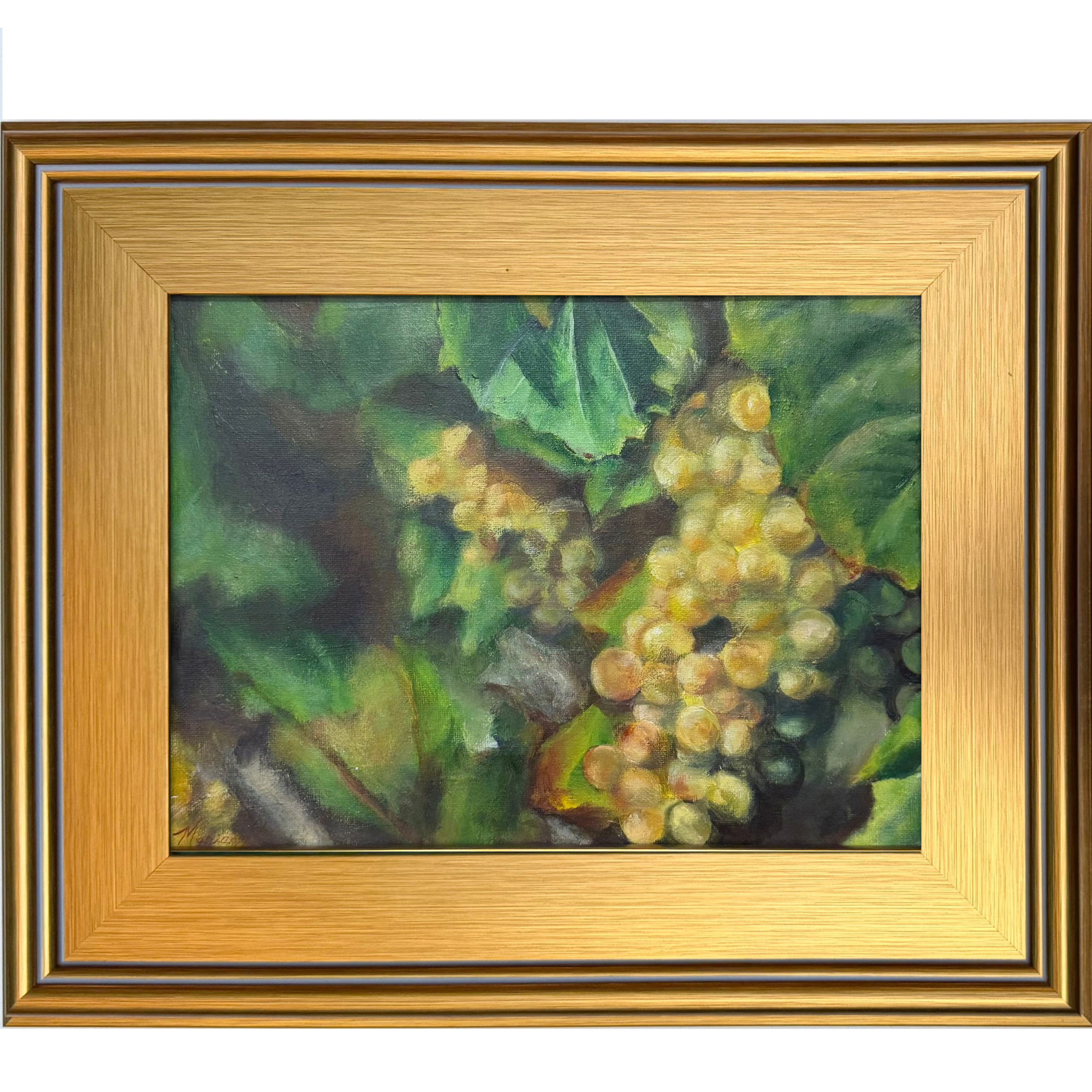 Wine Grapes on Vine.png