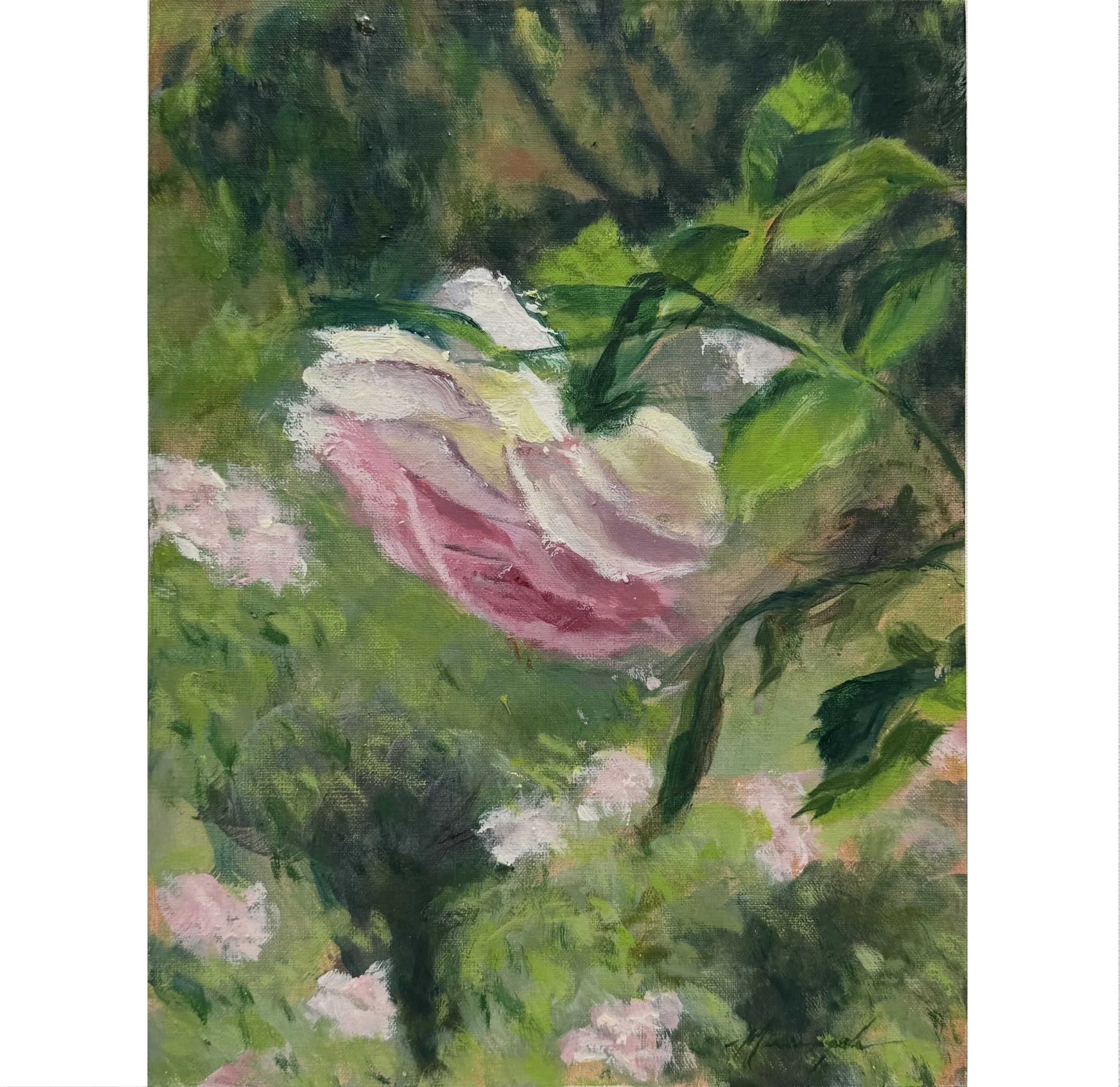 Rose Garden