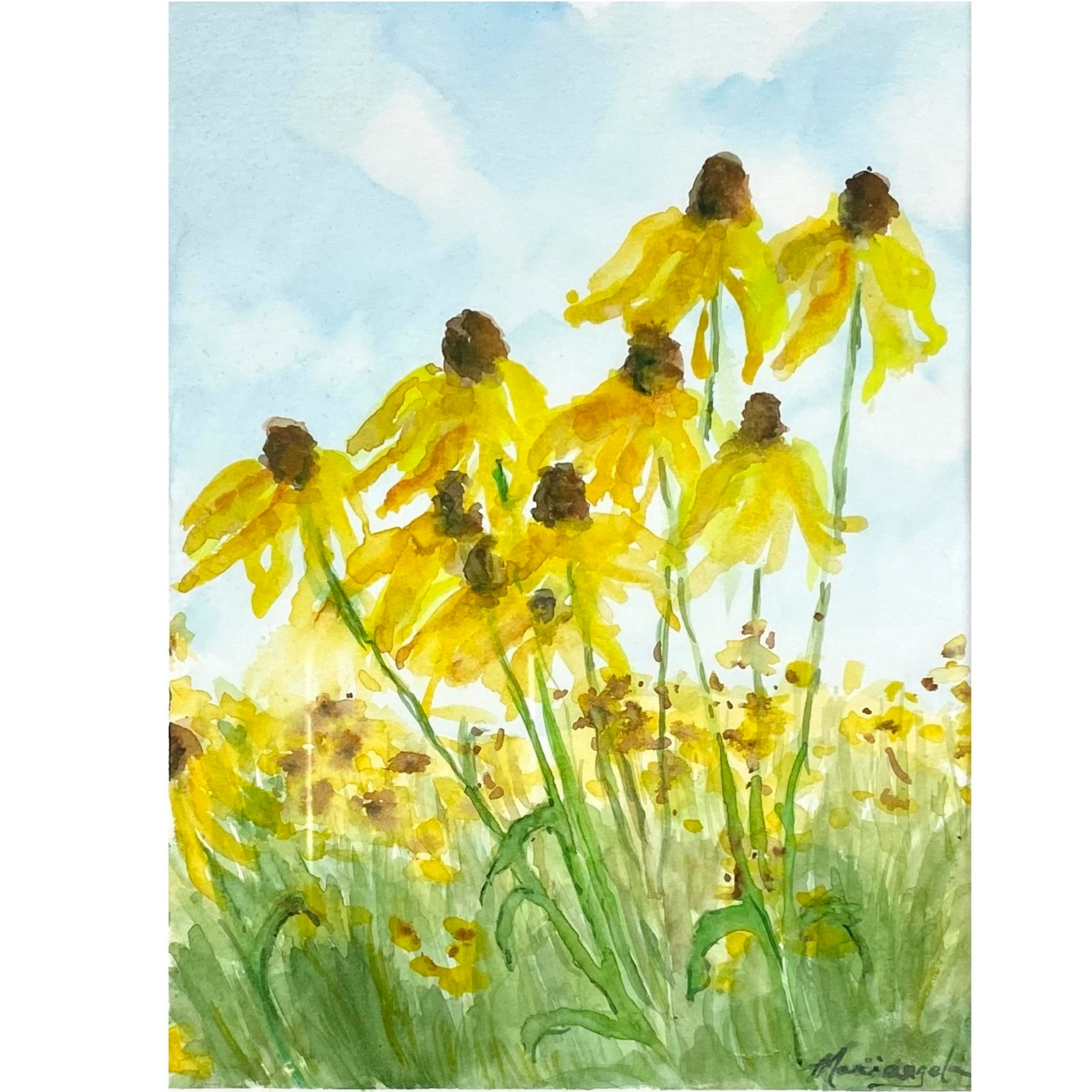 Coneflowers in the Breeze.png