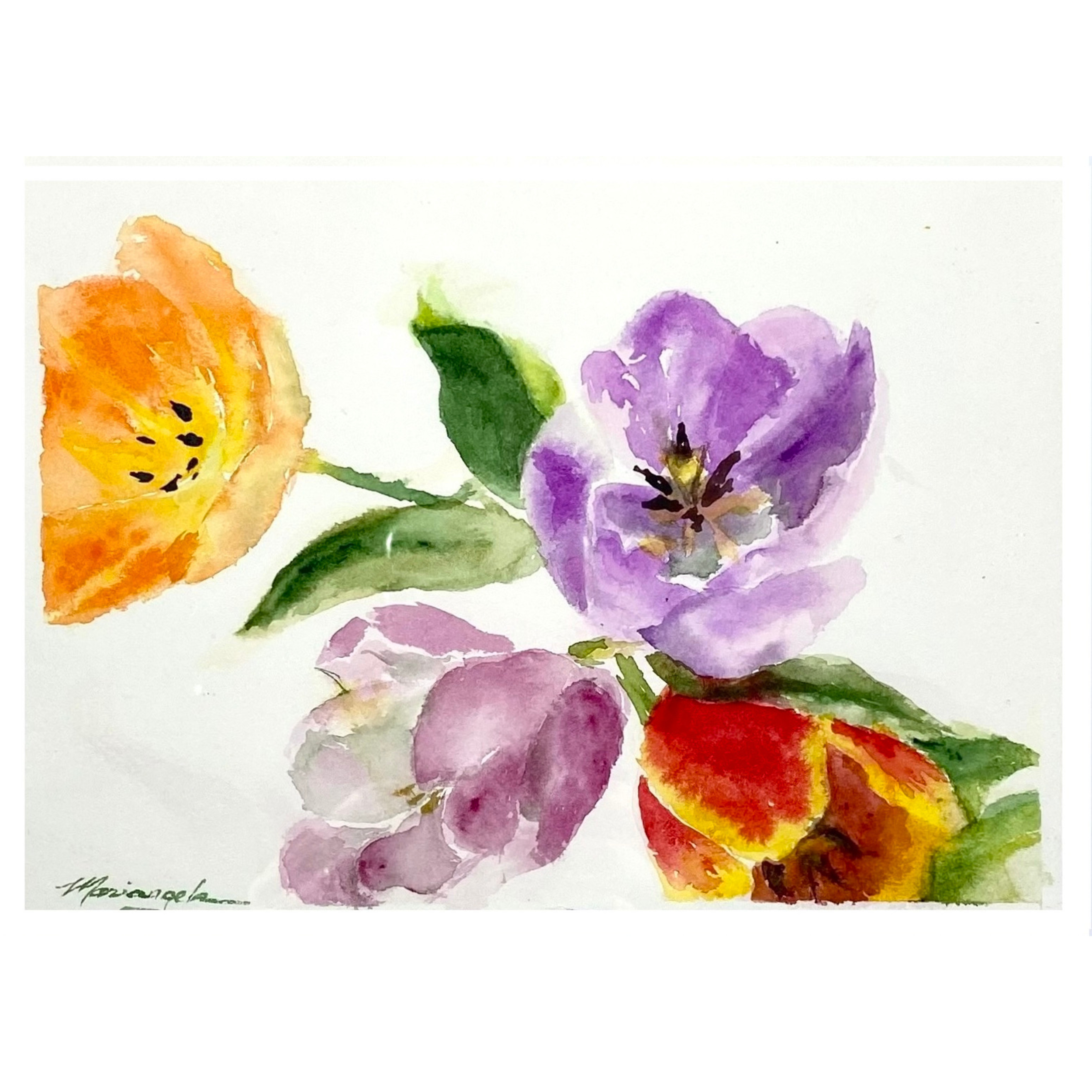 Tulips I.png