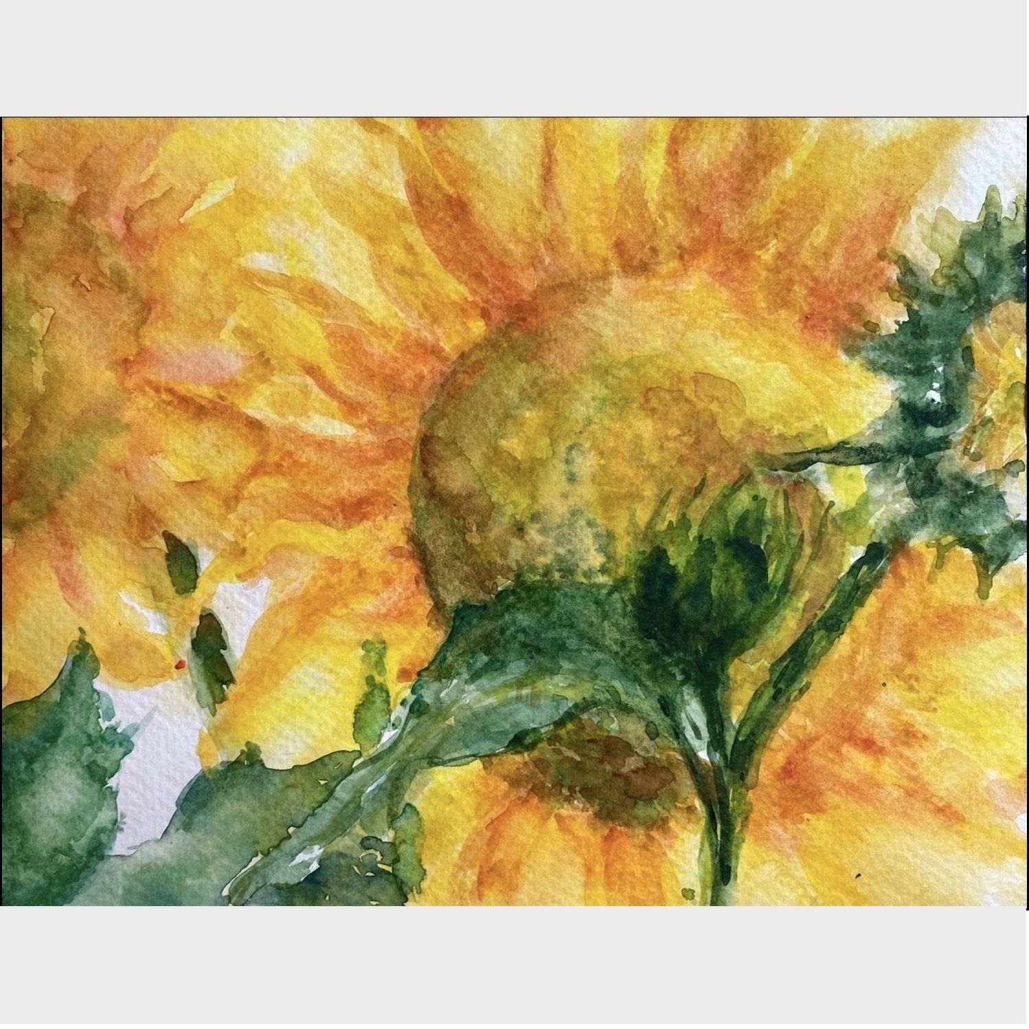 Sunflower Triplet.jpg
