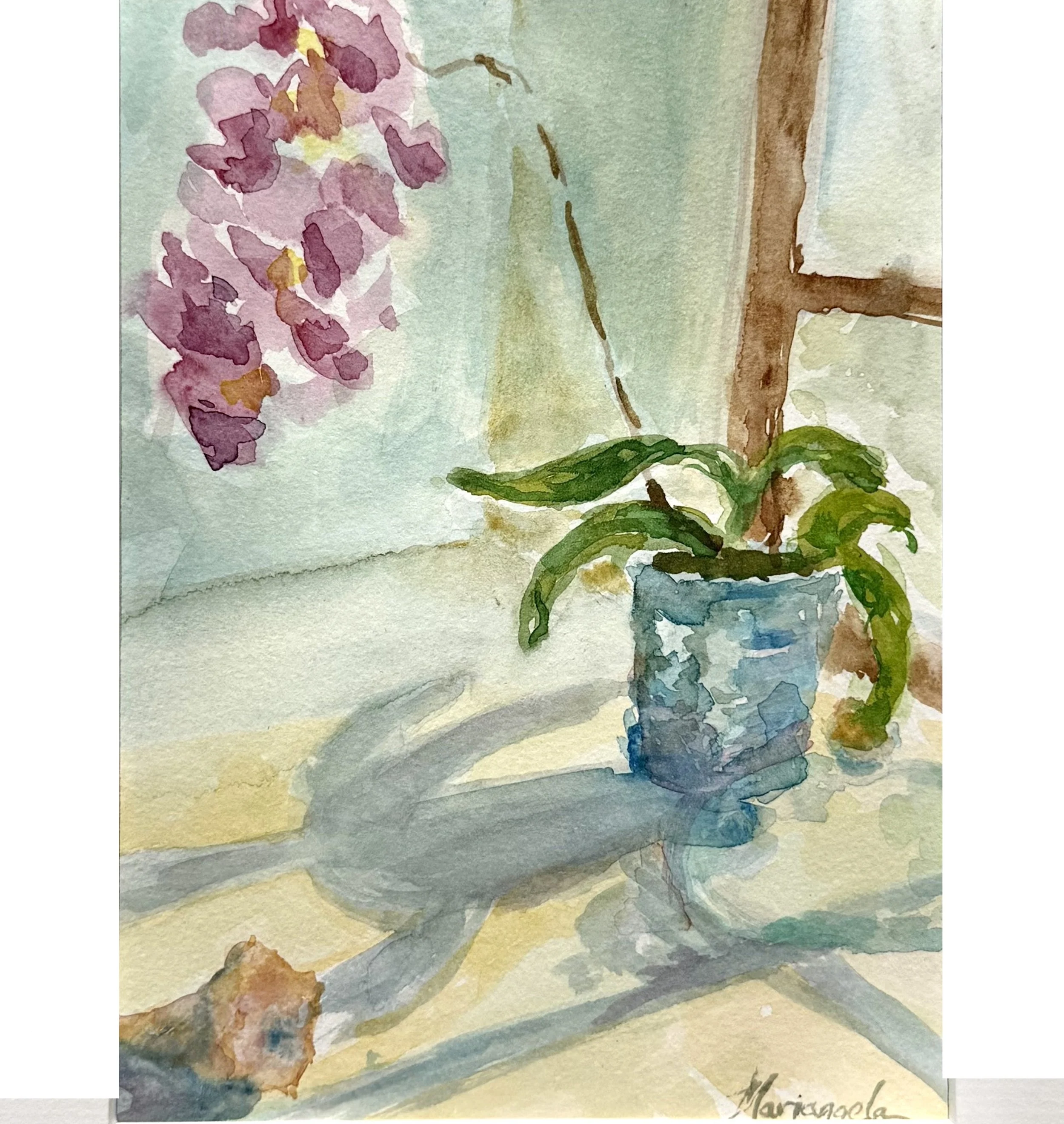 Orchid in the Window.jpeg