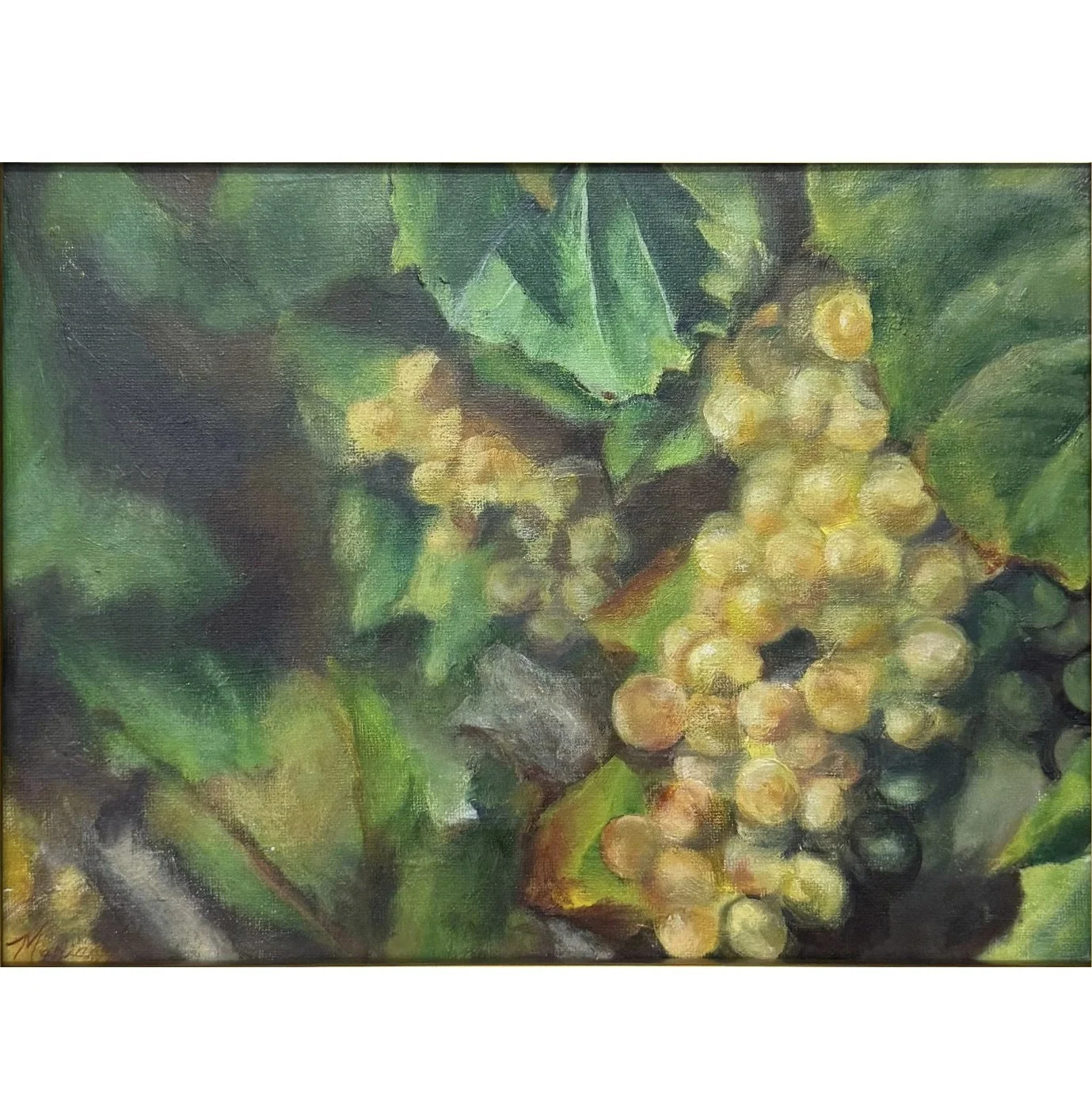 Wine Grapes on the Vine • Saint Estèphe, France