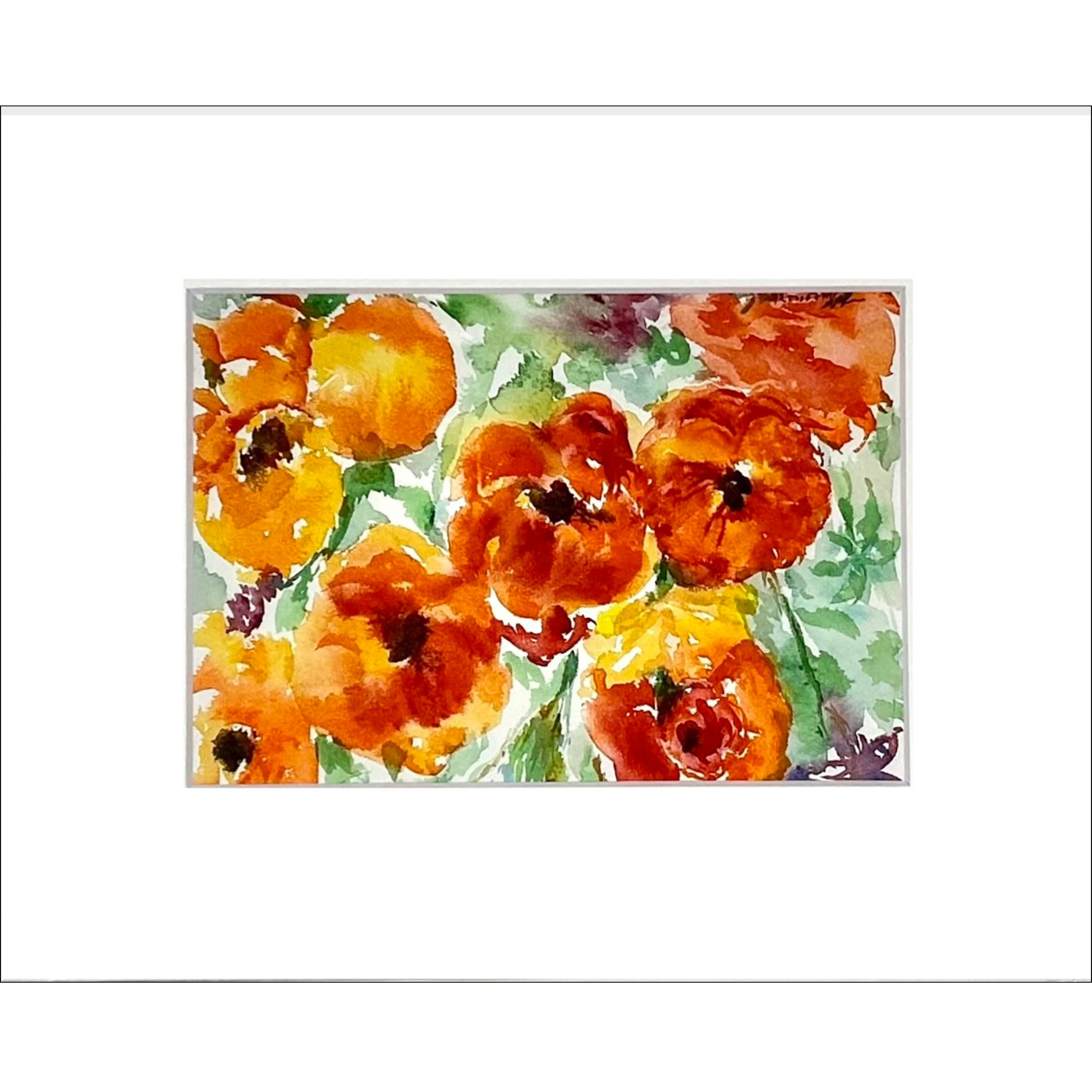 Persian Buttercup
