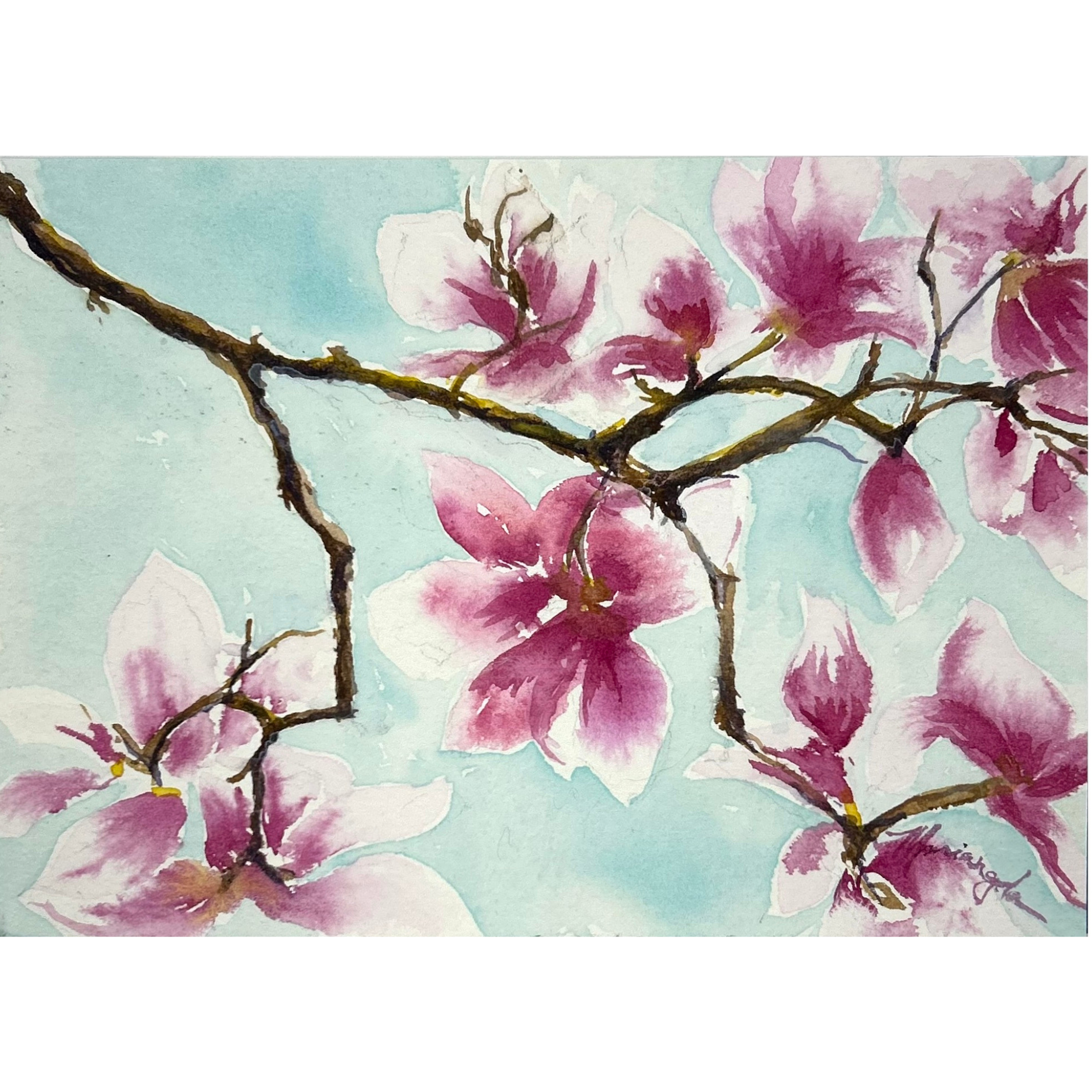 Blooming Magnolias.png