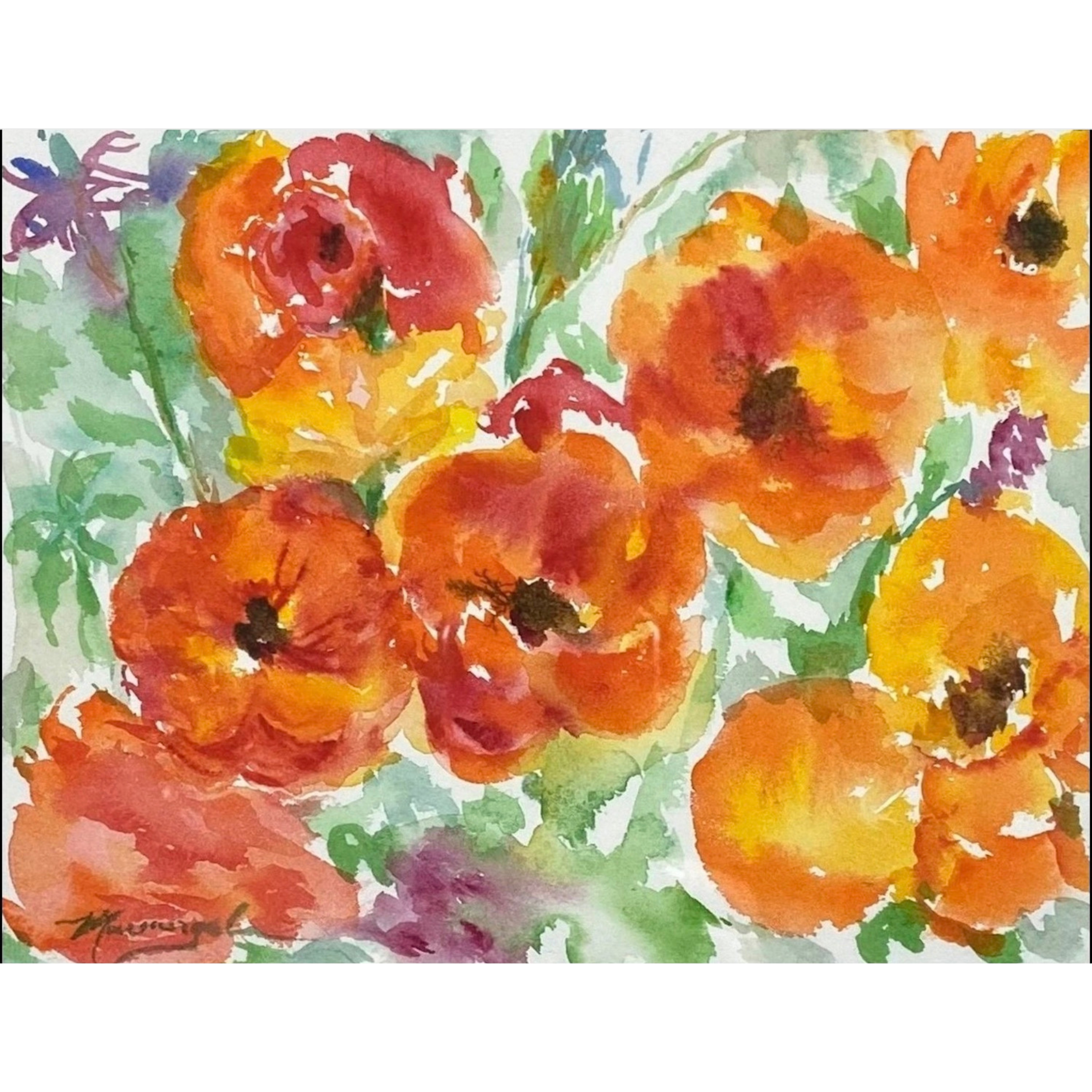 Persian Buttercup.png