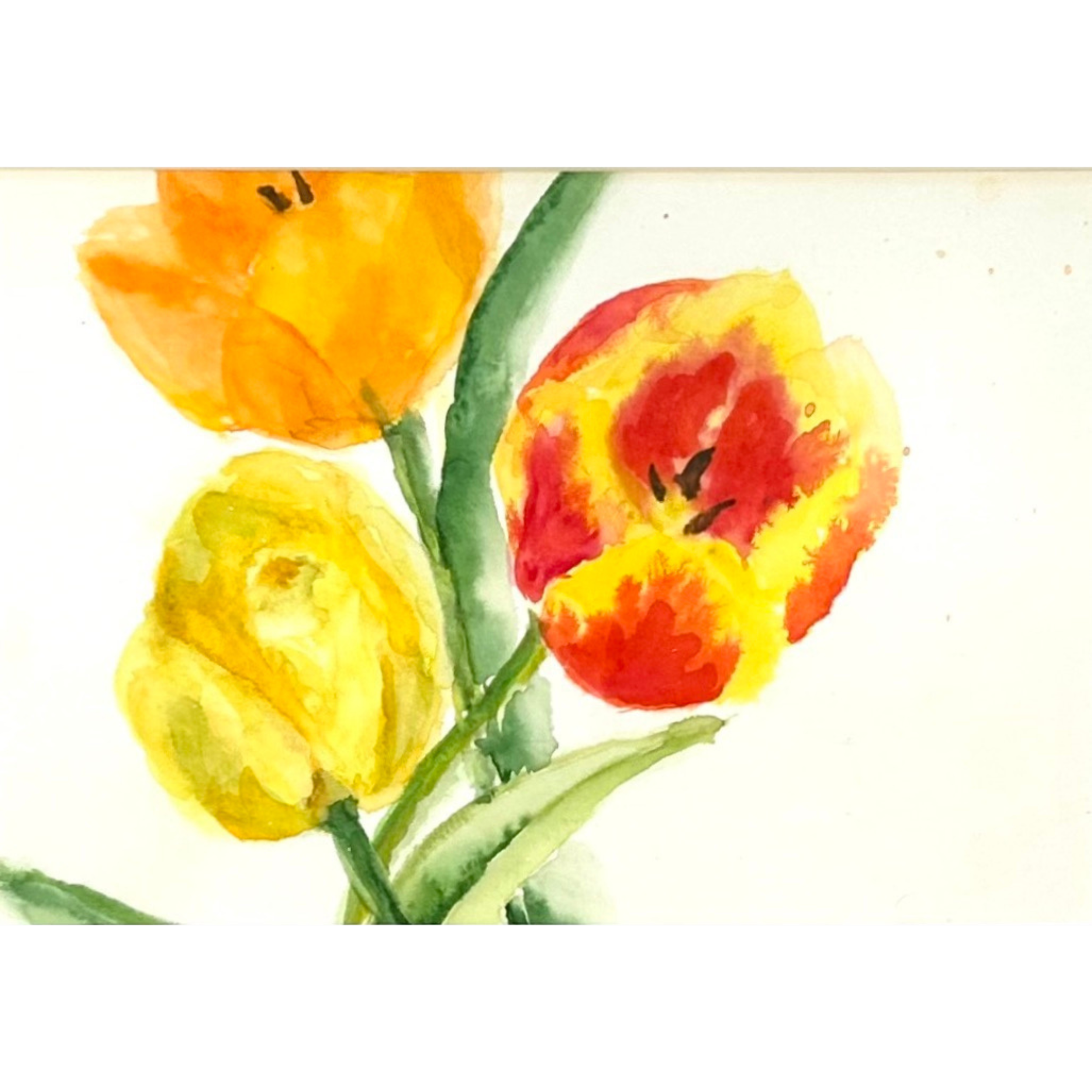 Tulips II.png