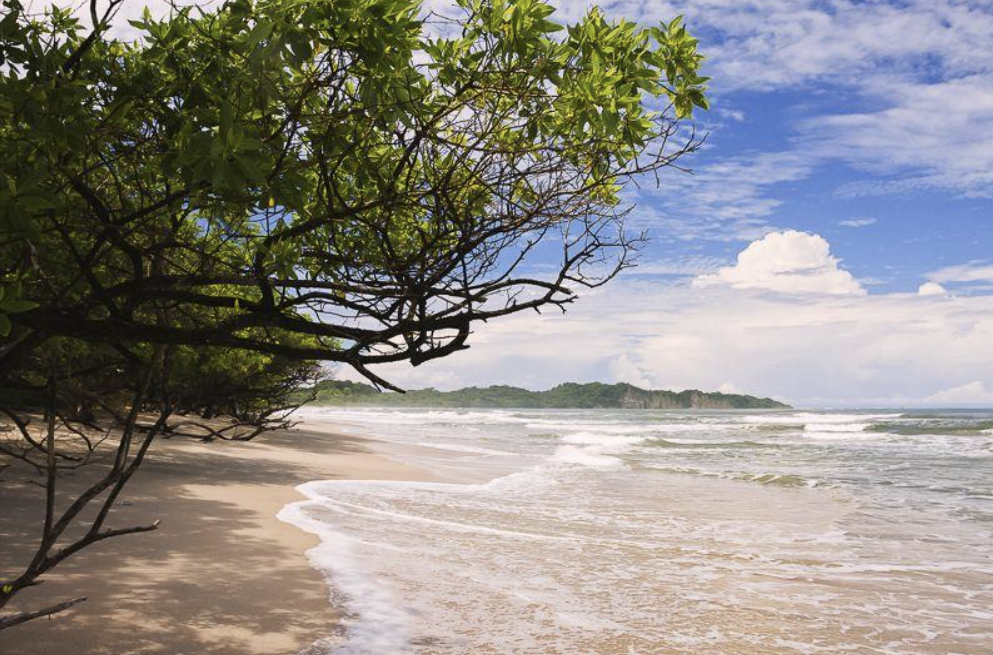 A sandy beach with gentle waves washing ashore, green foliage and trees on the left, a distant green coastline, and a partly cloudy sky overhead.