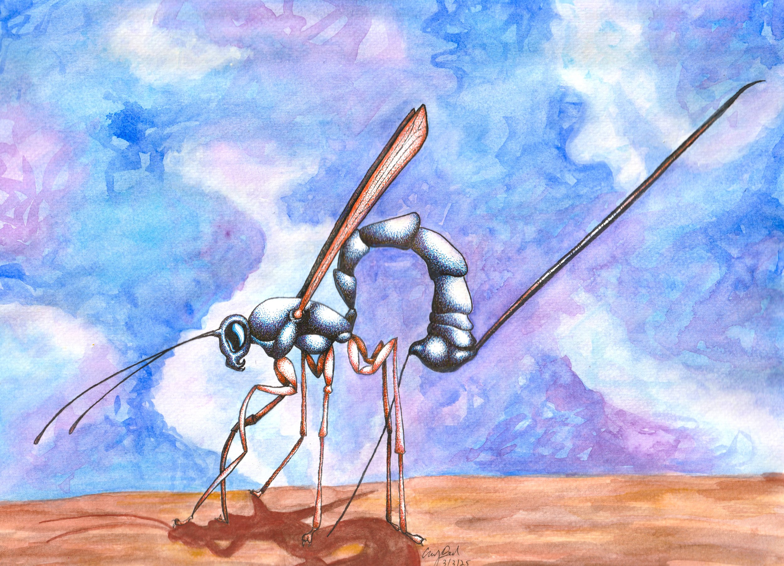 Mirthful Mother (Ichneumon Wasp).jpg