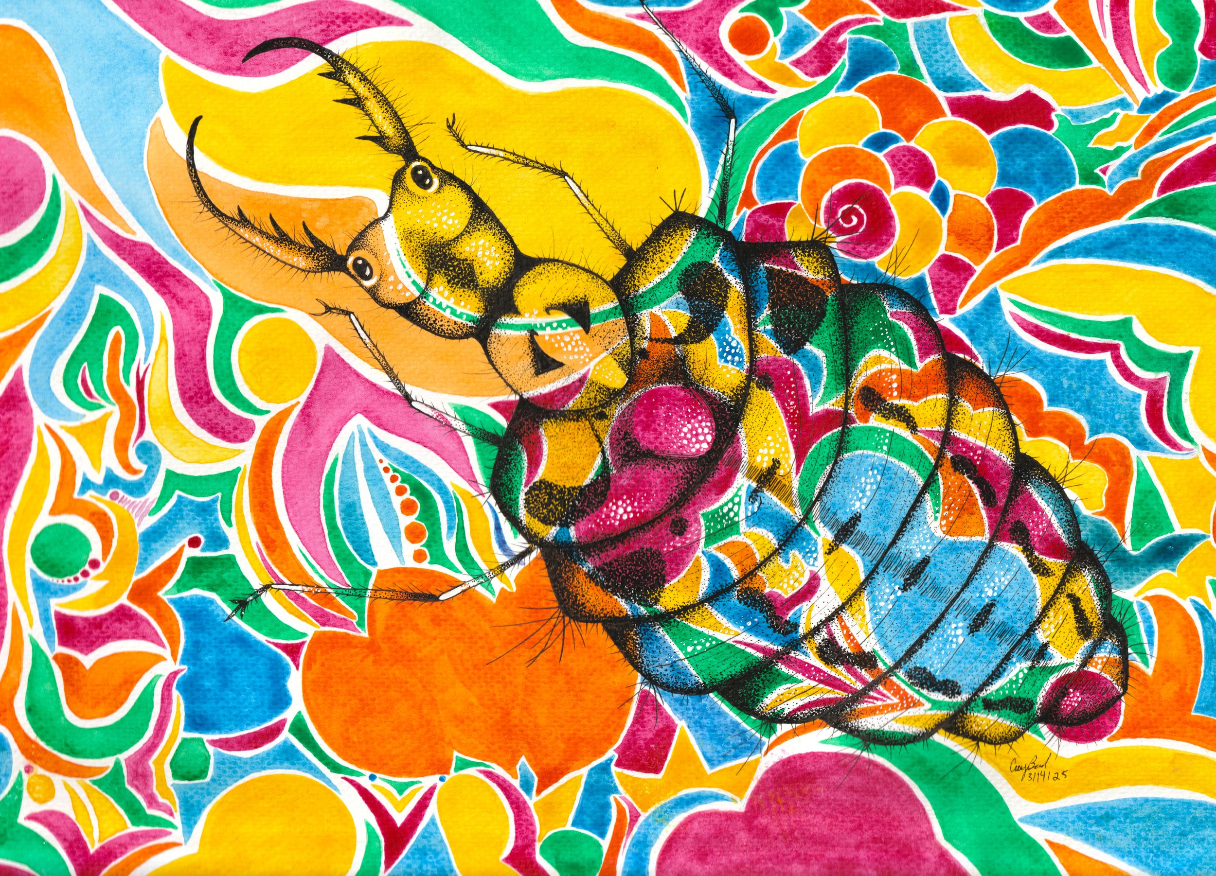 Doodlebug (Antlion).jpg