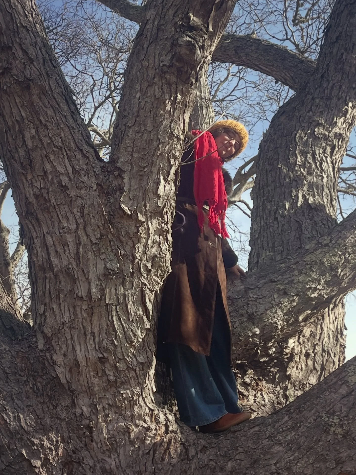 life these days&hellip; a few weeks ago I landed in a new nest, a little home surrounded by forest, that is slowly revealing all the gifts. My dreams were infused with forests much like these ones, when I was calling in a new home many moons ago. I k