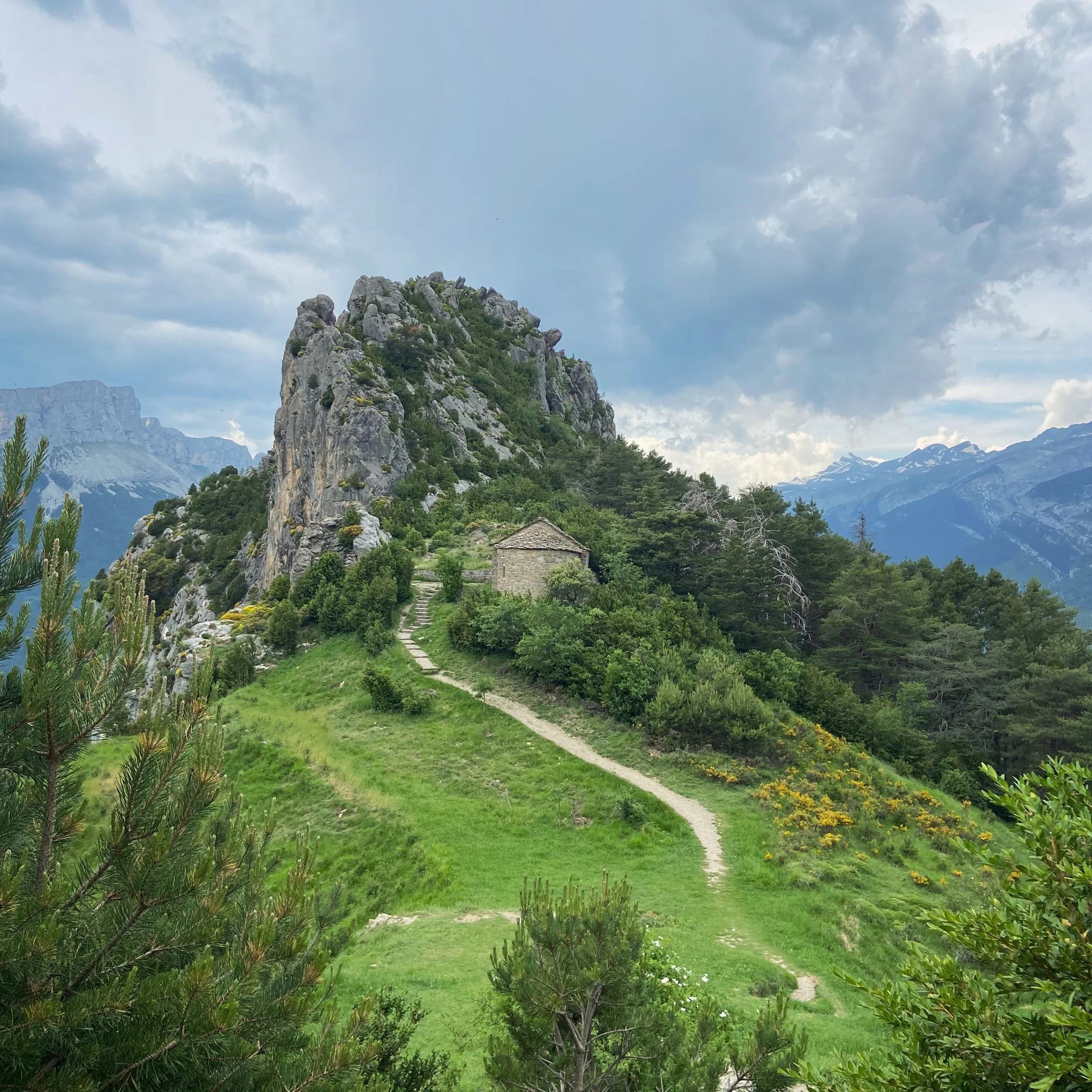 Annual day-of-birth rituals, re-set, rebirth
Pilgrimages to sacred waters and disappearing in the high mountains
Belly and spirit nourished by the wild foods like a love letter that connect us to this place on a cellular level. 
Wild boar, stag, ajo 