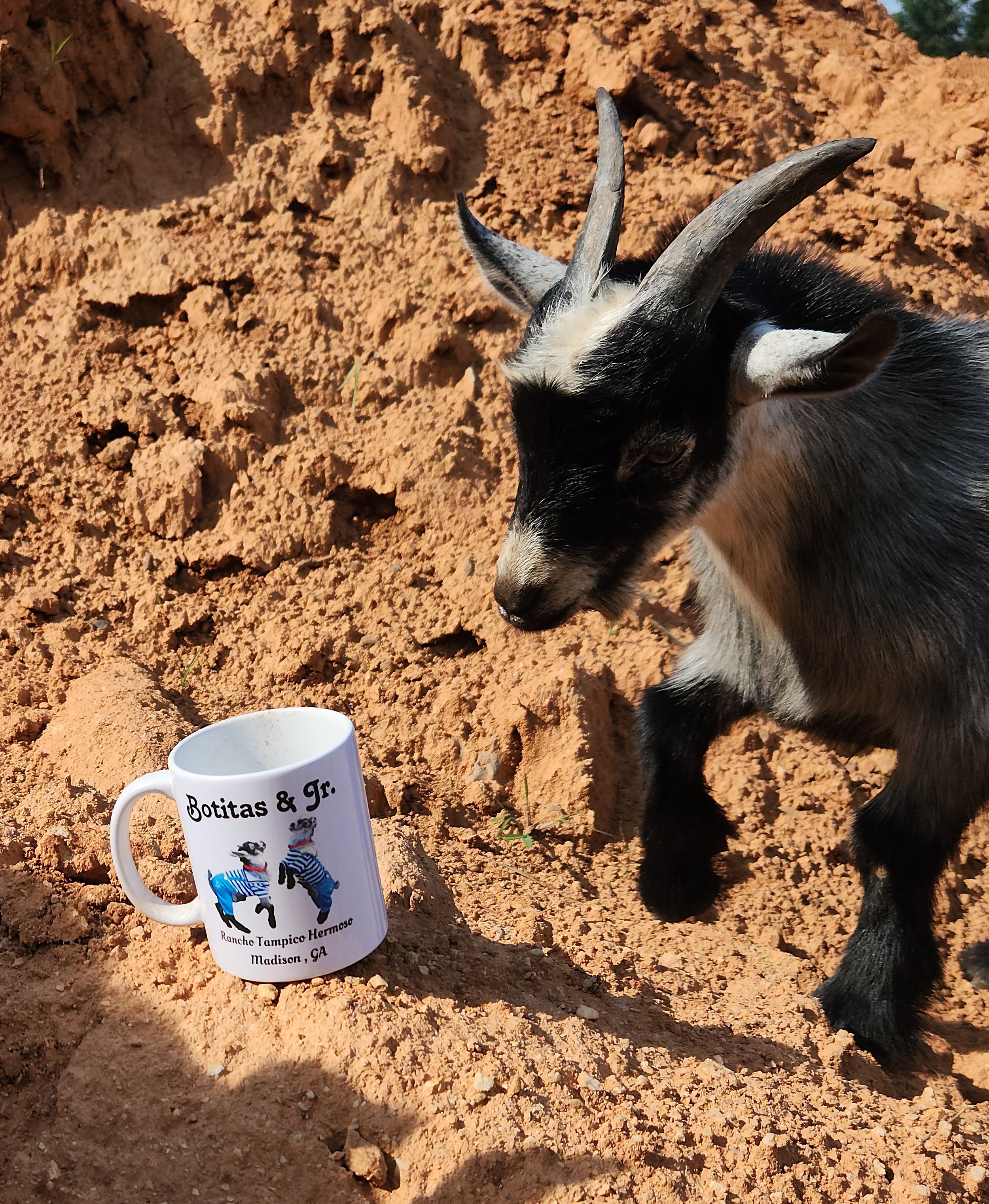 Jr & Botitas mug