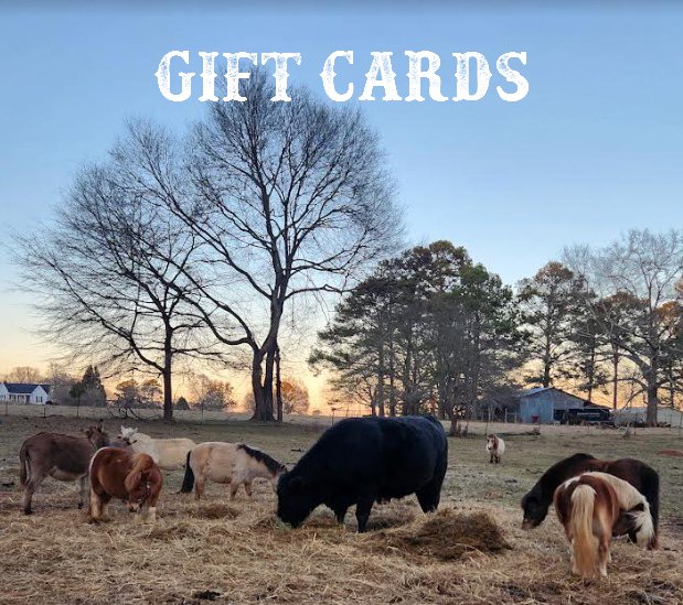 Gift Cards.jpg