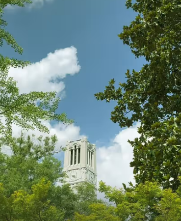 Screenshot 2024-10-15 163515.png