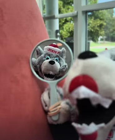 Screenshot 2024-10-15 163731.png