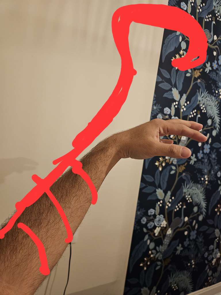 hookp.png