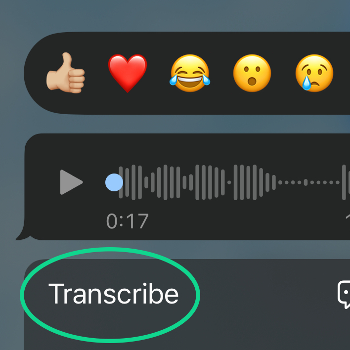 WhatsApp voice message transcripts