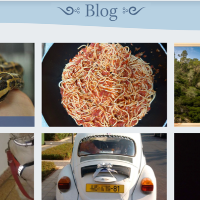 Blog