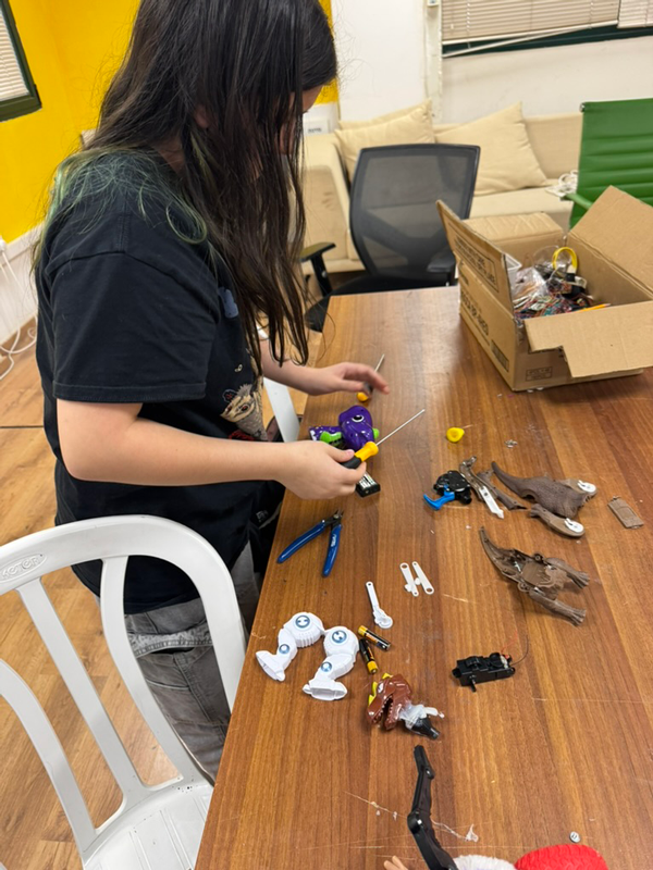 toyhacking.png