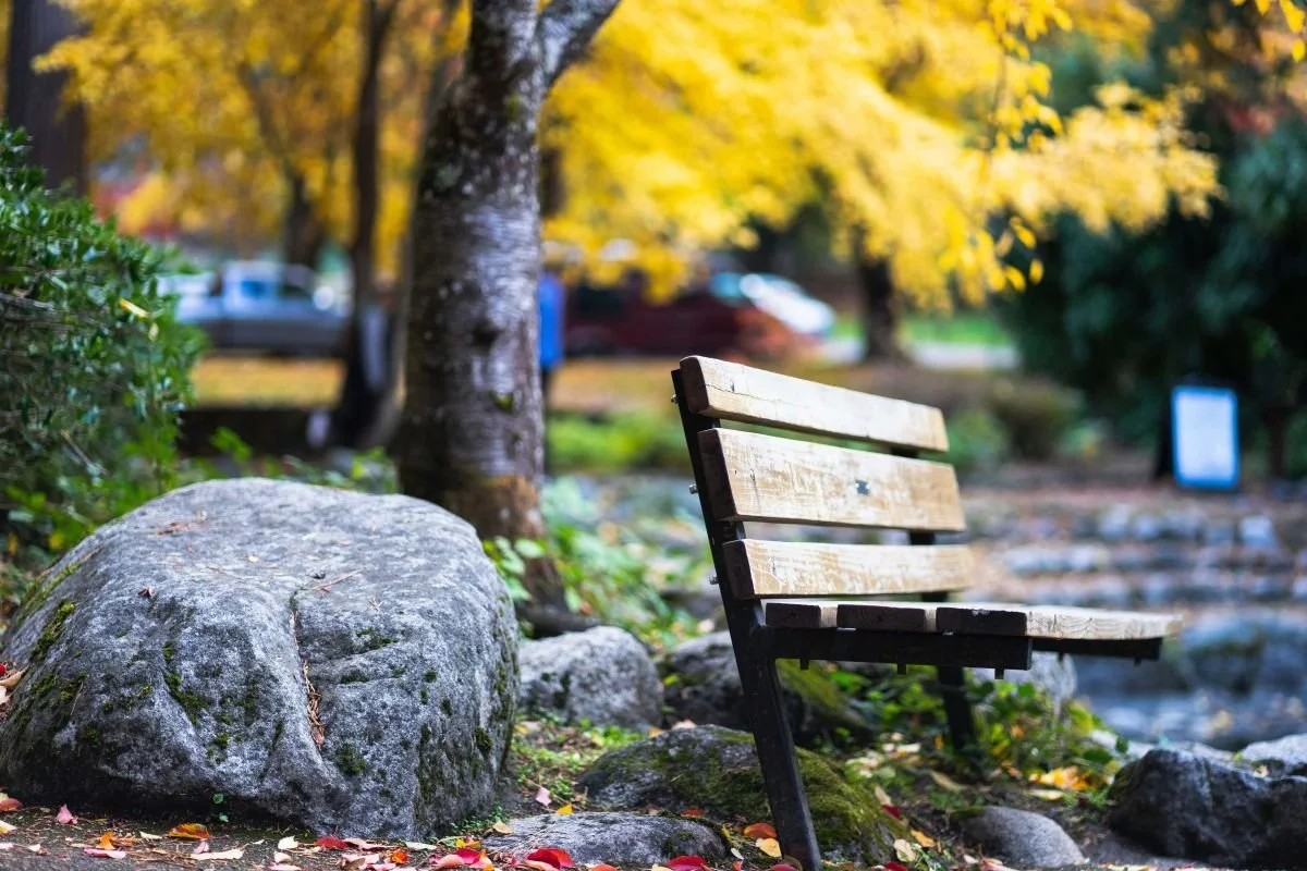 Empty park bench surrounded by autumn leaves, grief counseling for women San Antonio Texas