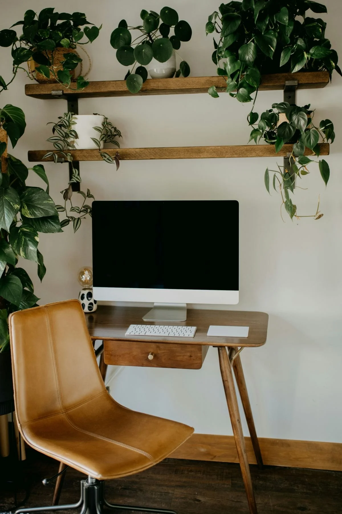 A leather chair, small desk, laptop, and plants in soft light, a grounded image of where trauma therapy with Rebecca Flores happens, San Antonio.