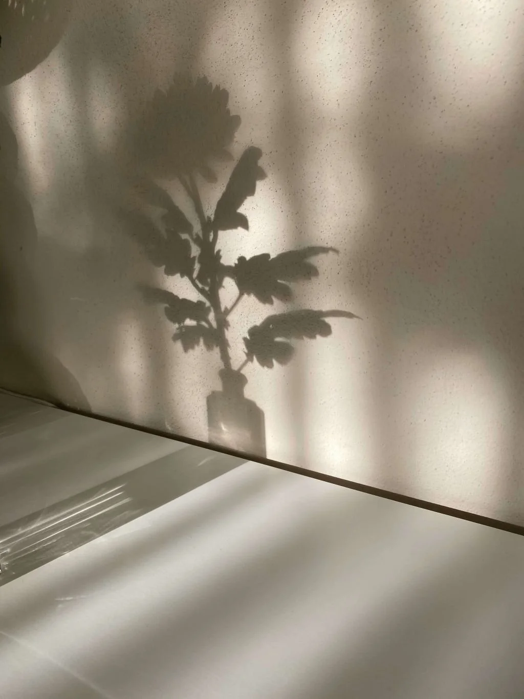 Shadow of a plant and flower cast on a wall, loss and grief therapy San Antonio Texas