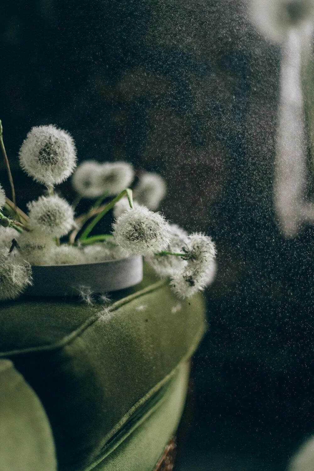 Soft dandelions resting on a velvet green chair in natural light, a quiet image of attunement and rest for trauma therapy with Rebecca Flores in San Antonio.