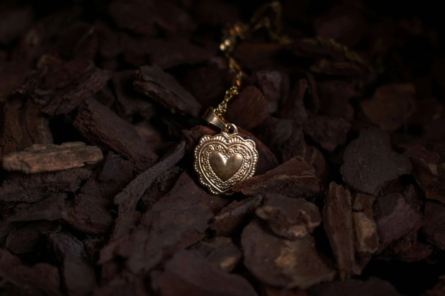 Gold locket resting in wood chips, attachment and grief therapy San Antonio Texas